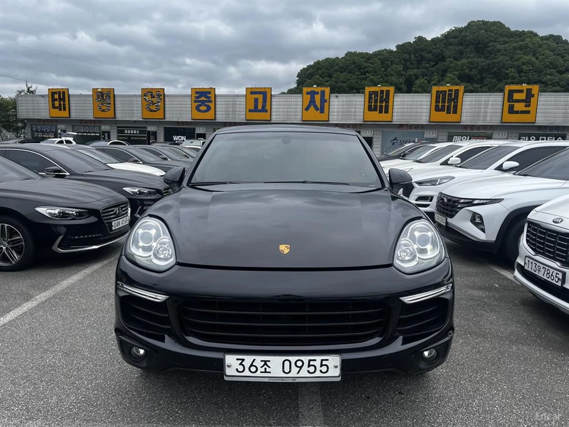 New Cayenne