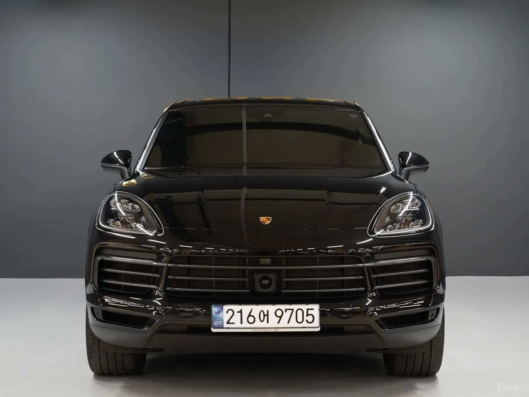 Cayenne (PO536)