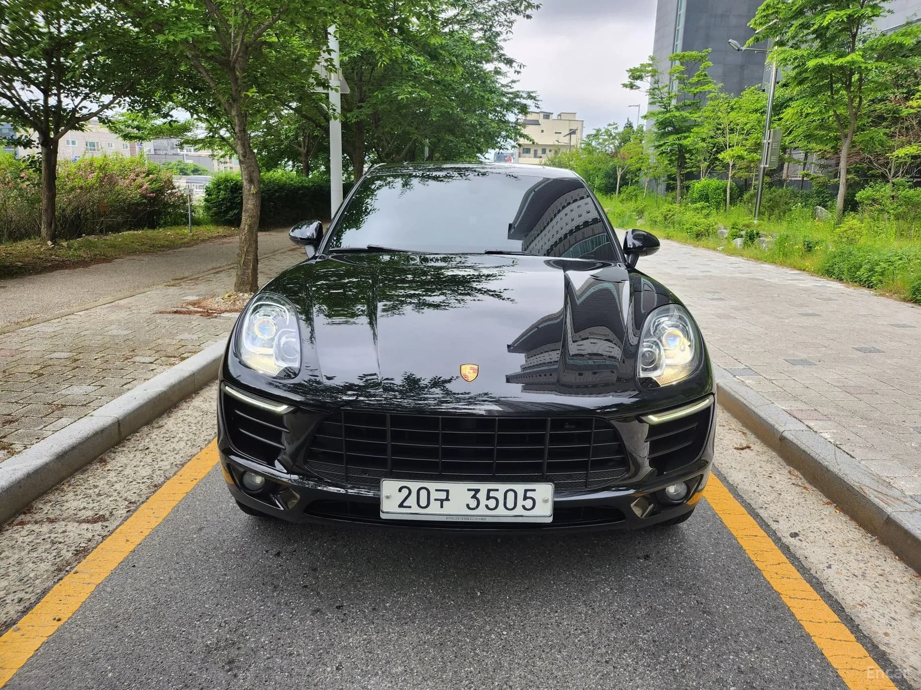 Macan