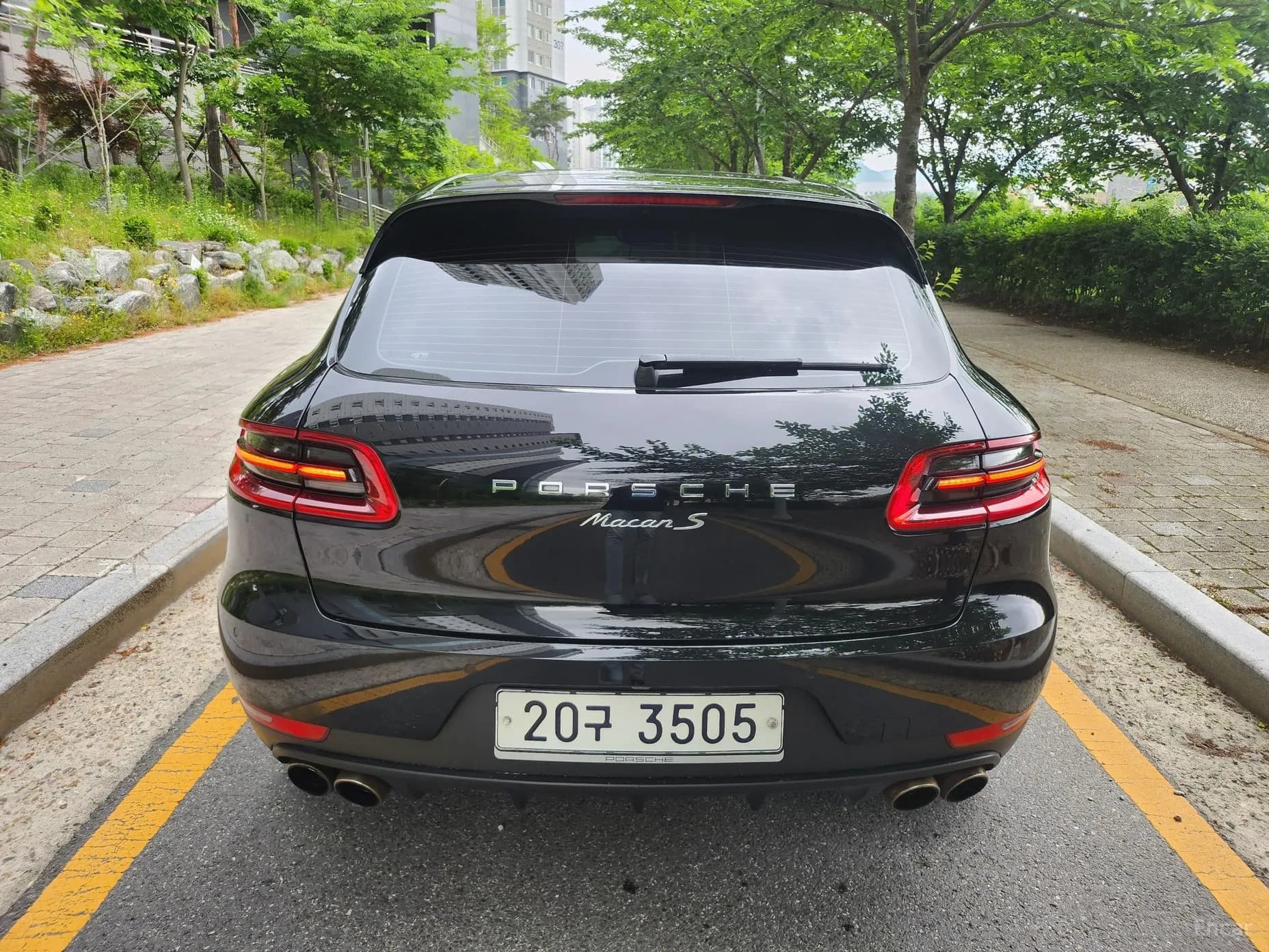 Macan