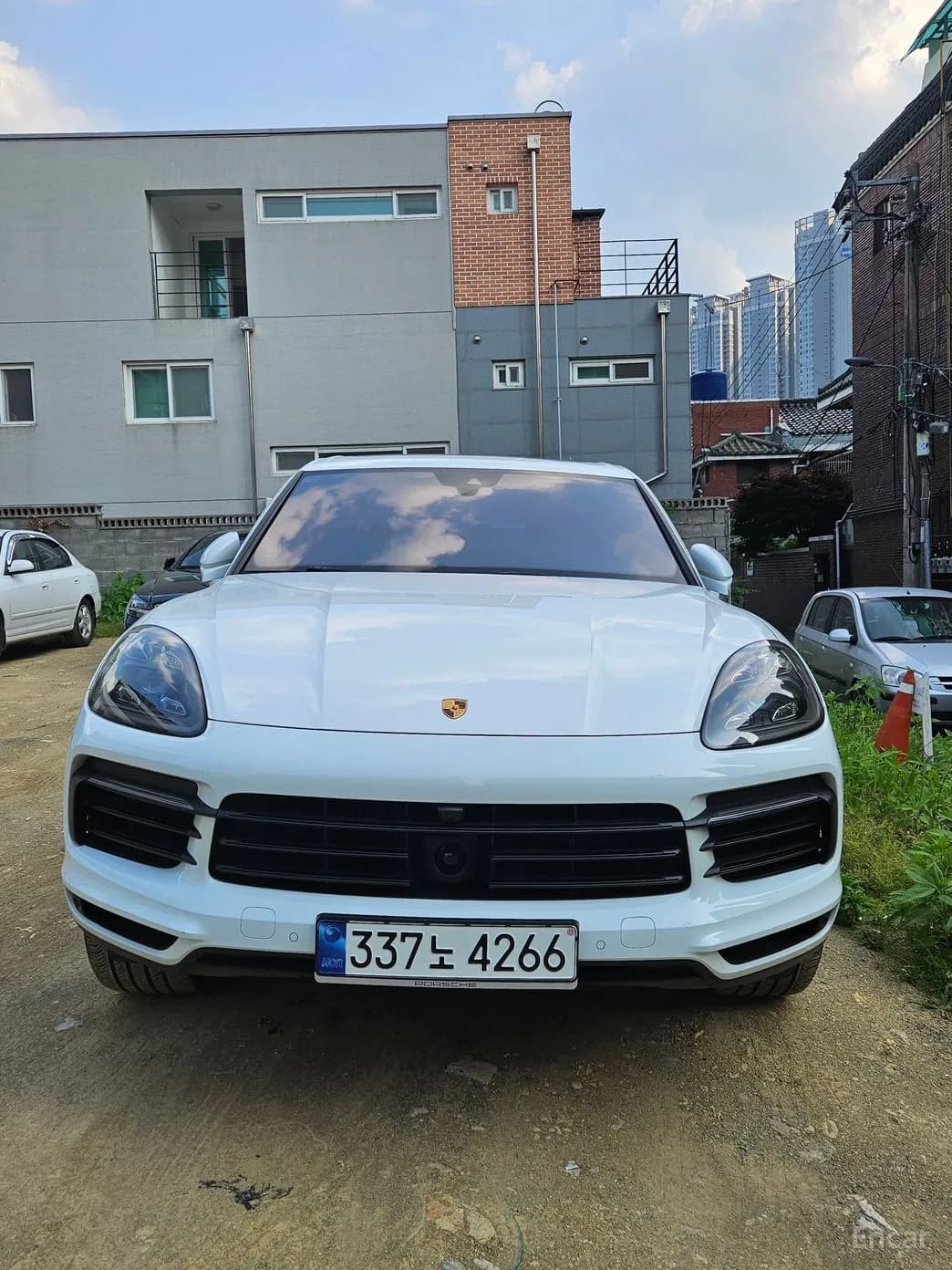 Cayenne (PO536)