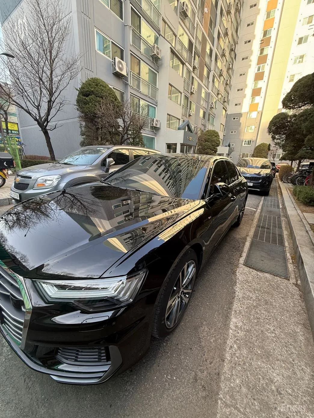 A6 (C8)