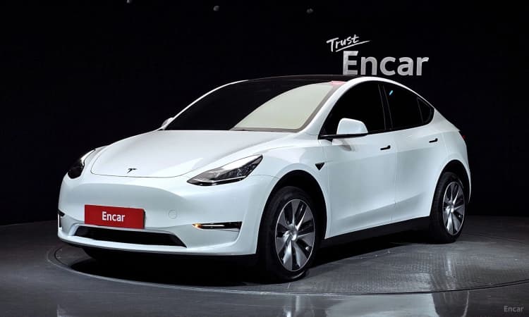 Model Y