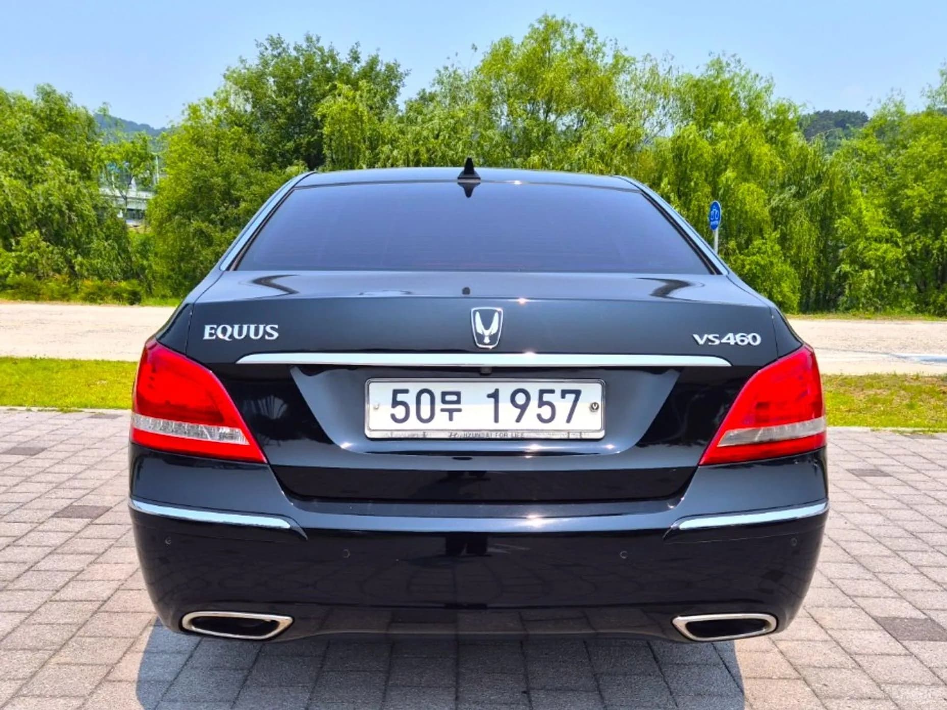 Equus (new)