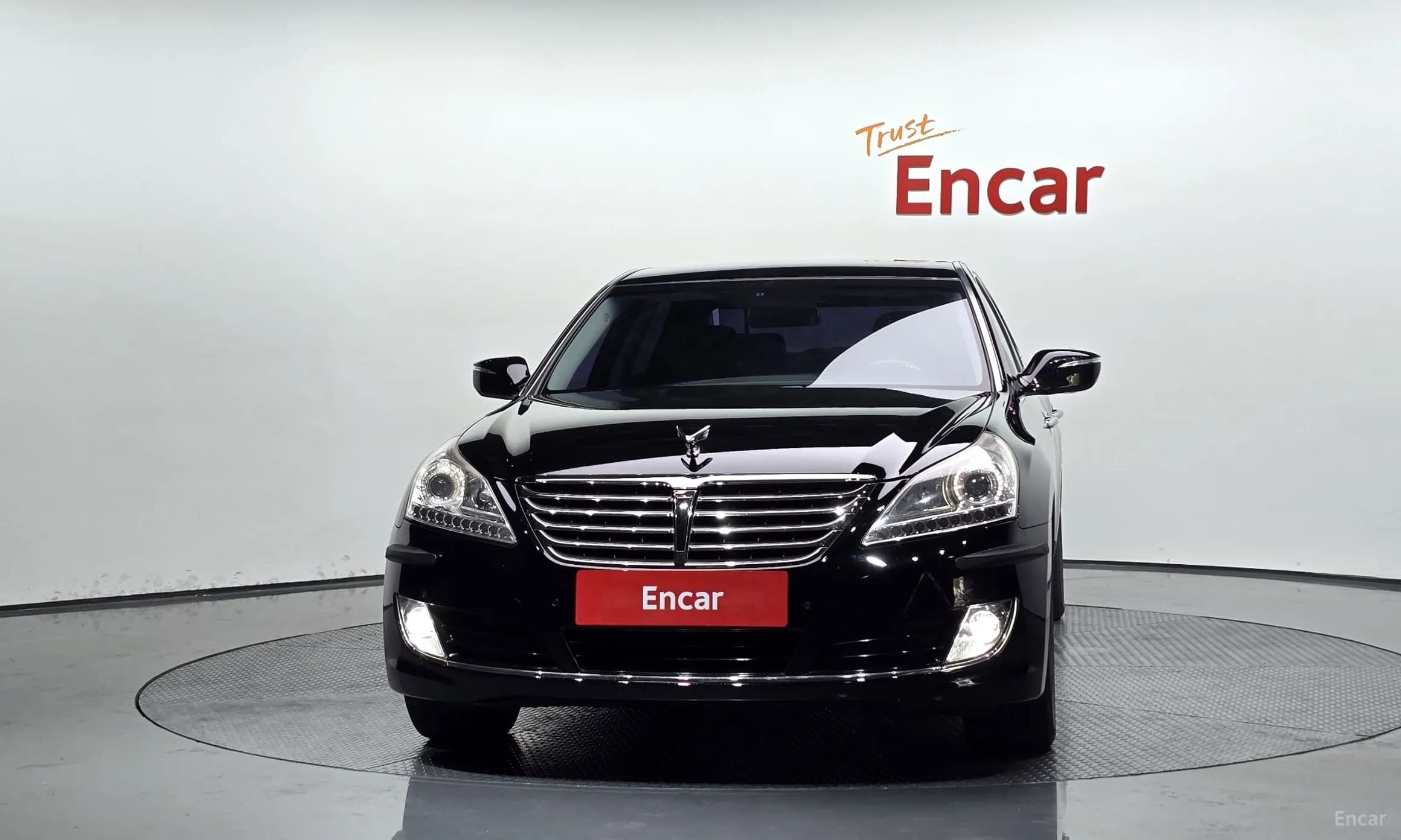 Equus (new)