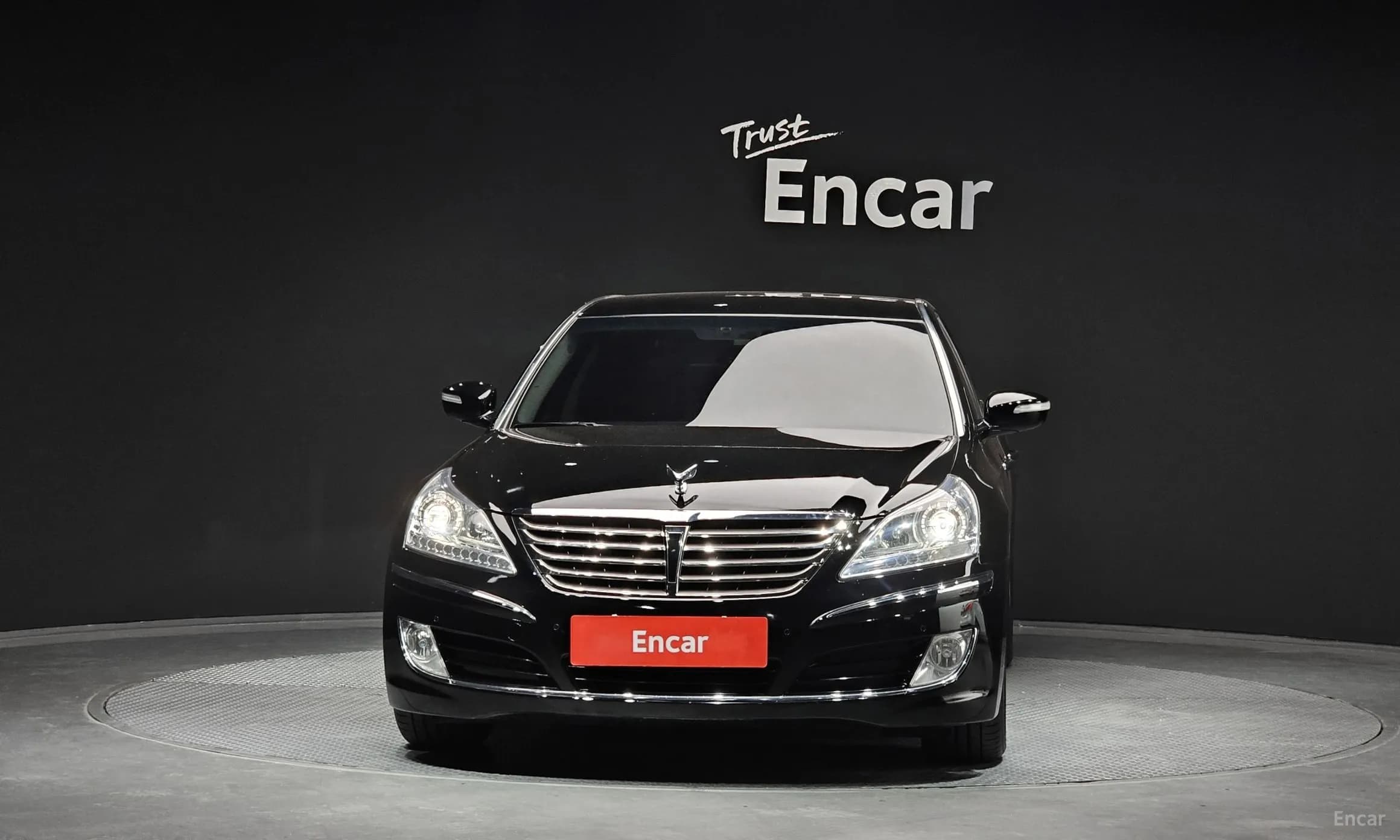 Equus (new)