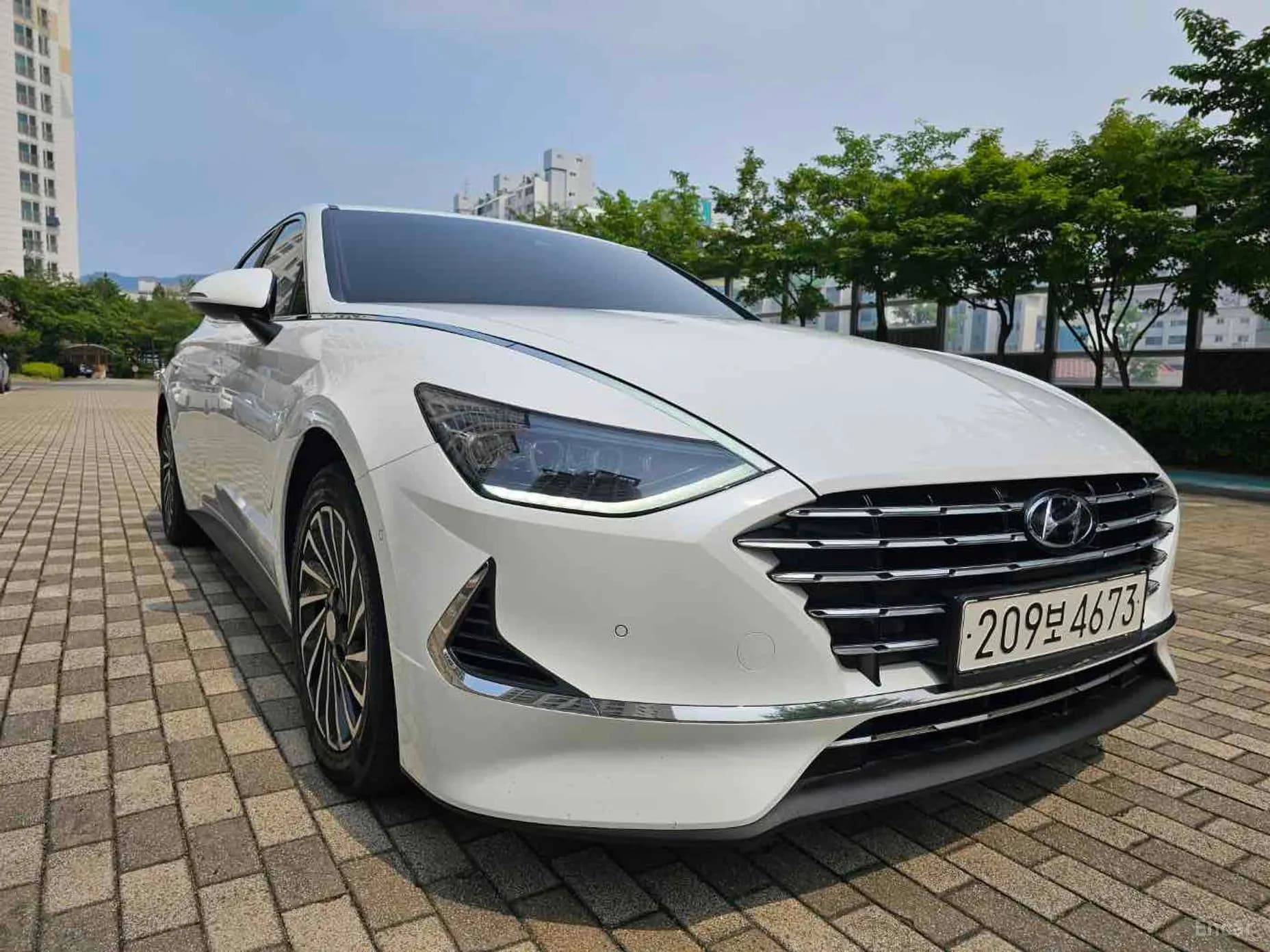 Sonata Hybrid (DN8)