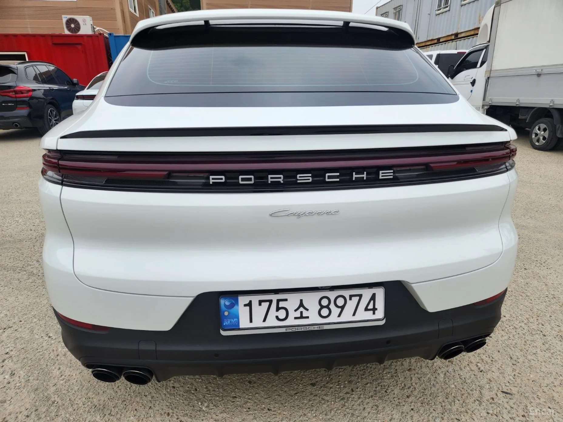 Cayenne (PO536)