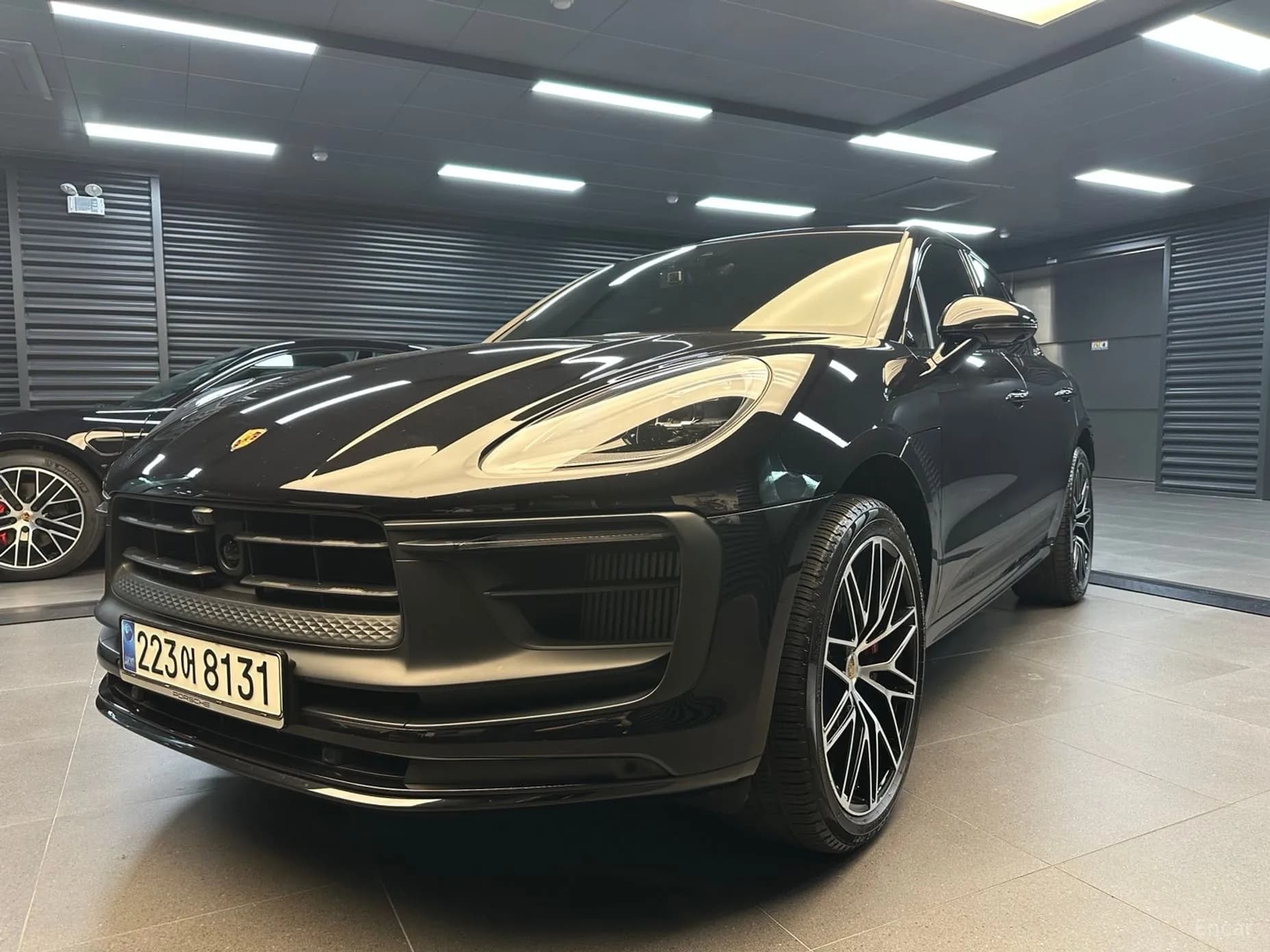 Macan
