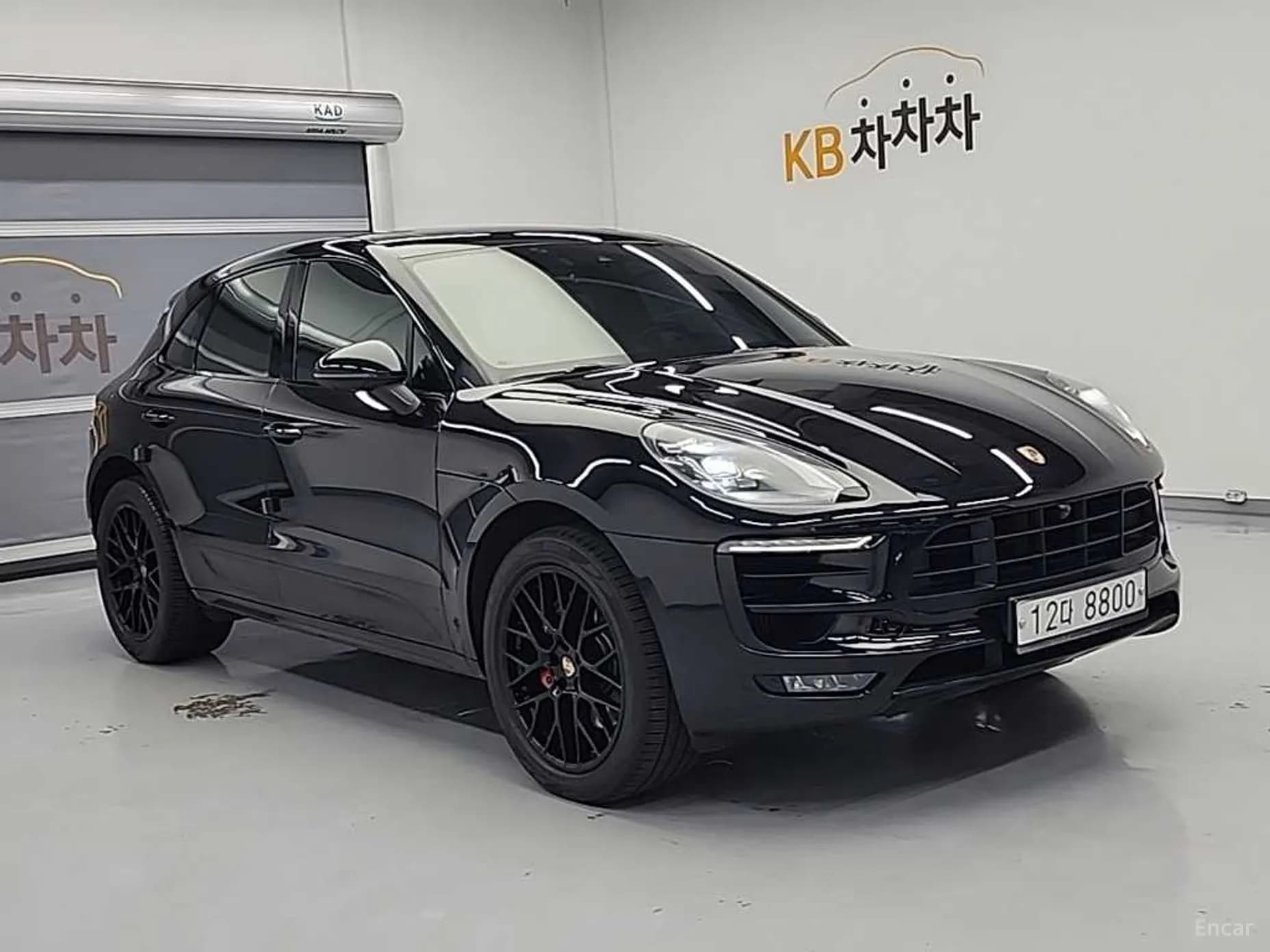 Macan