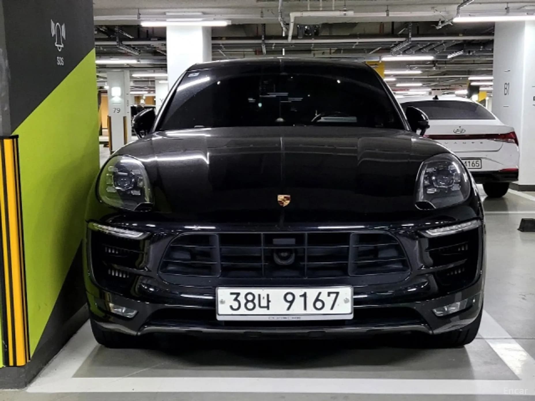 Macan