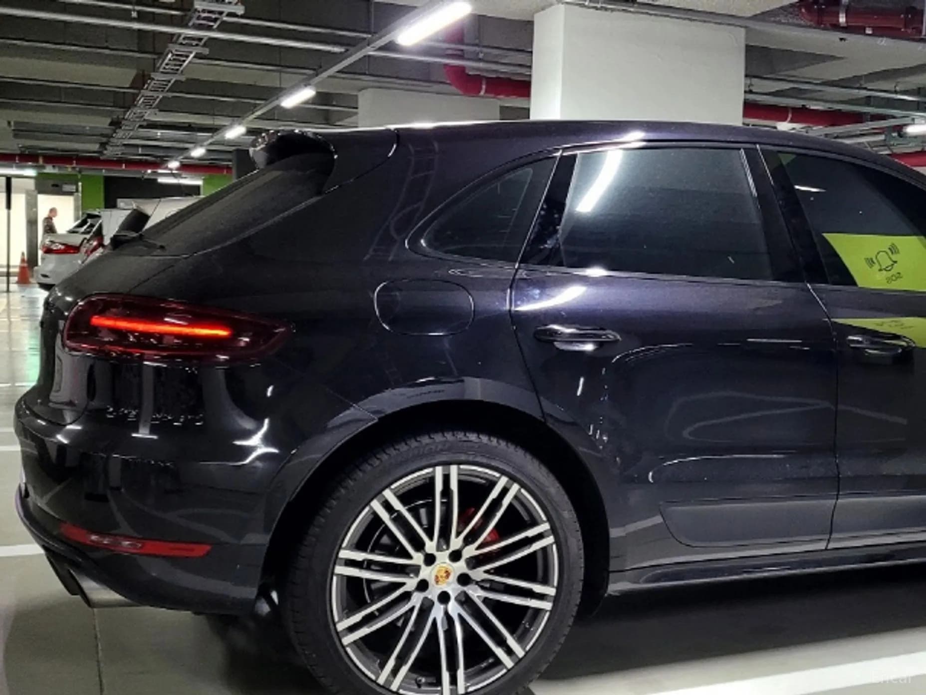 Macan