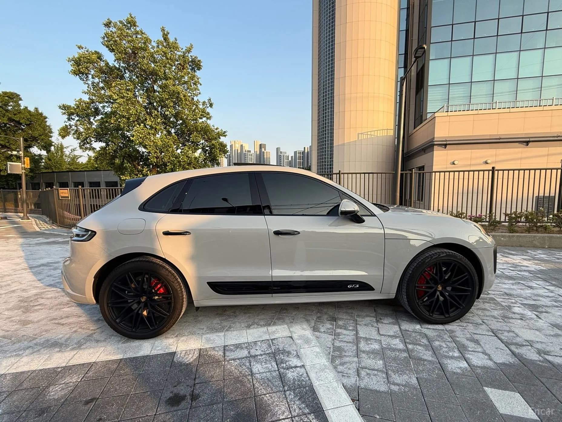 Macan
