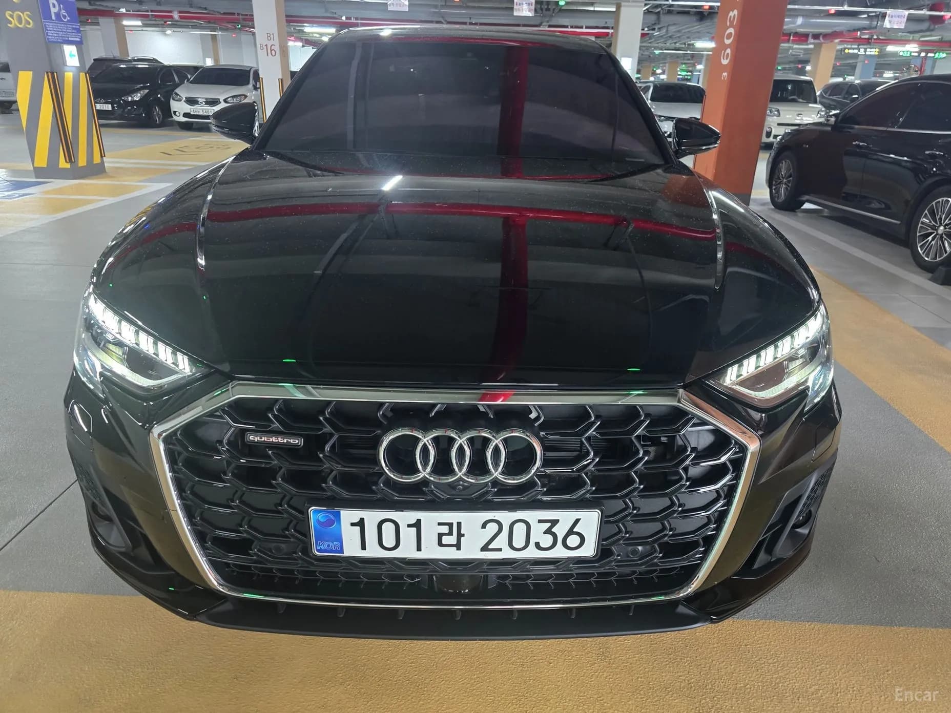 A8 (D5)