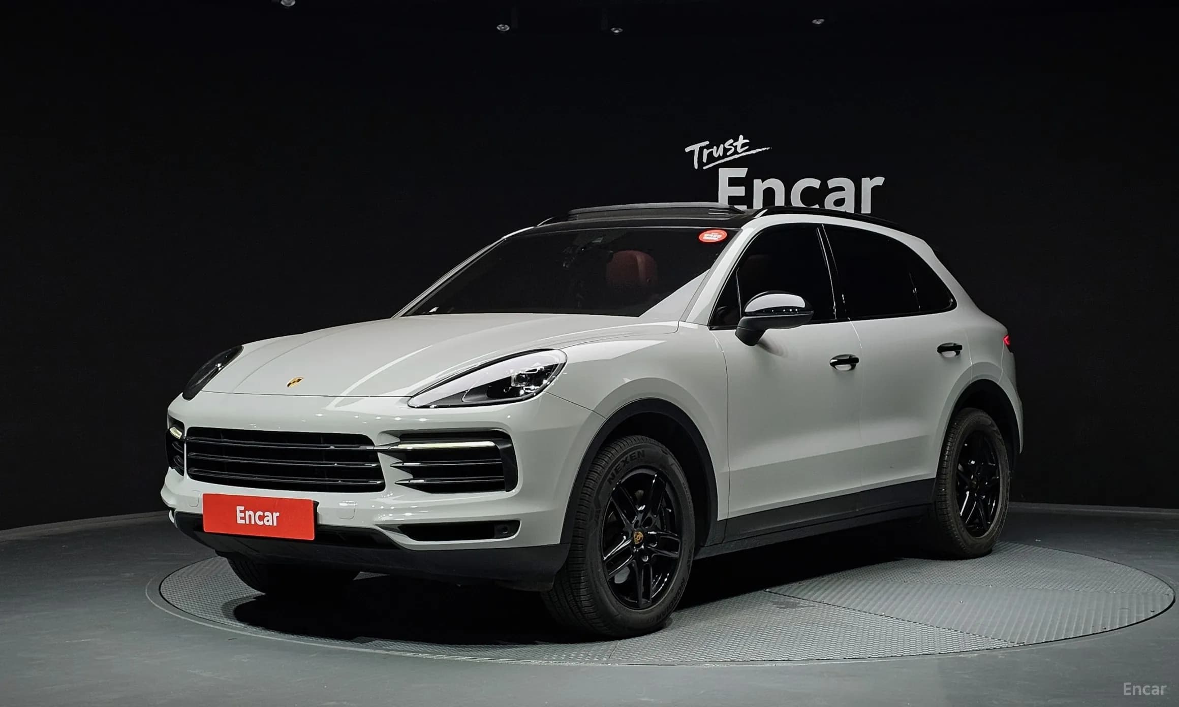 Cayenne (PO536)