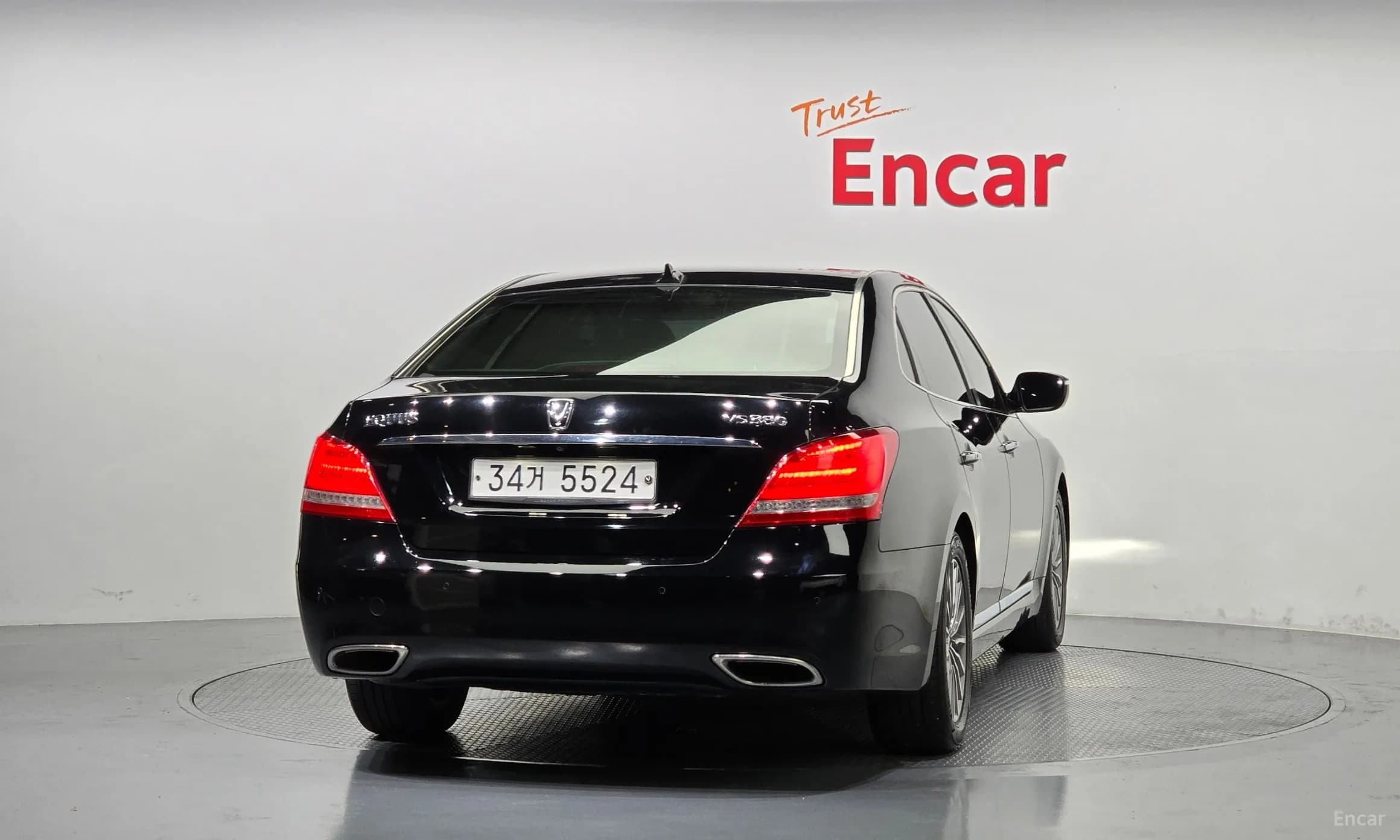 Equus (new)