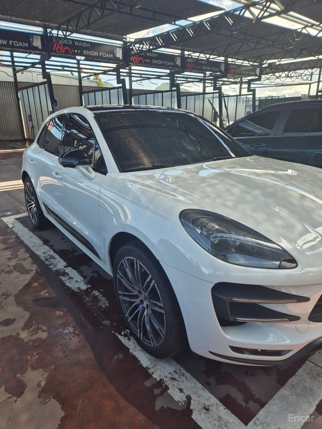 Macan