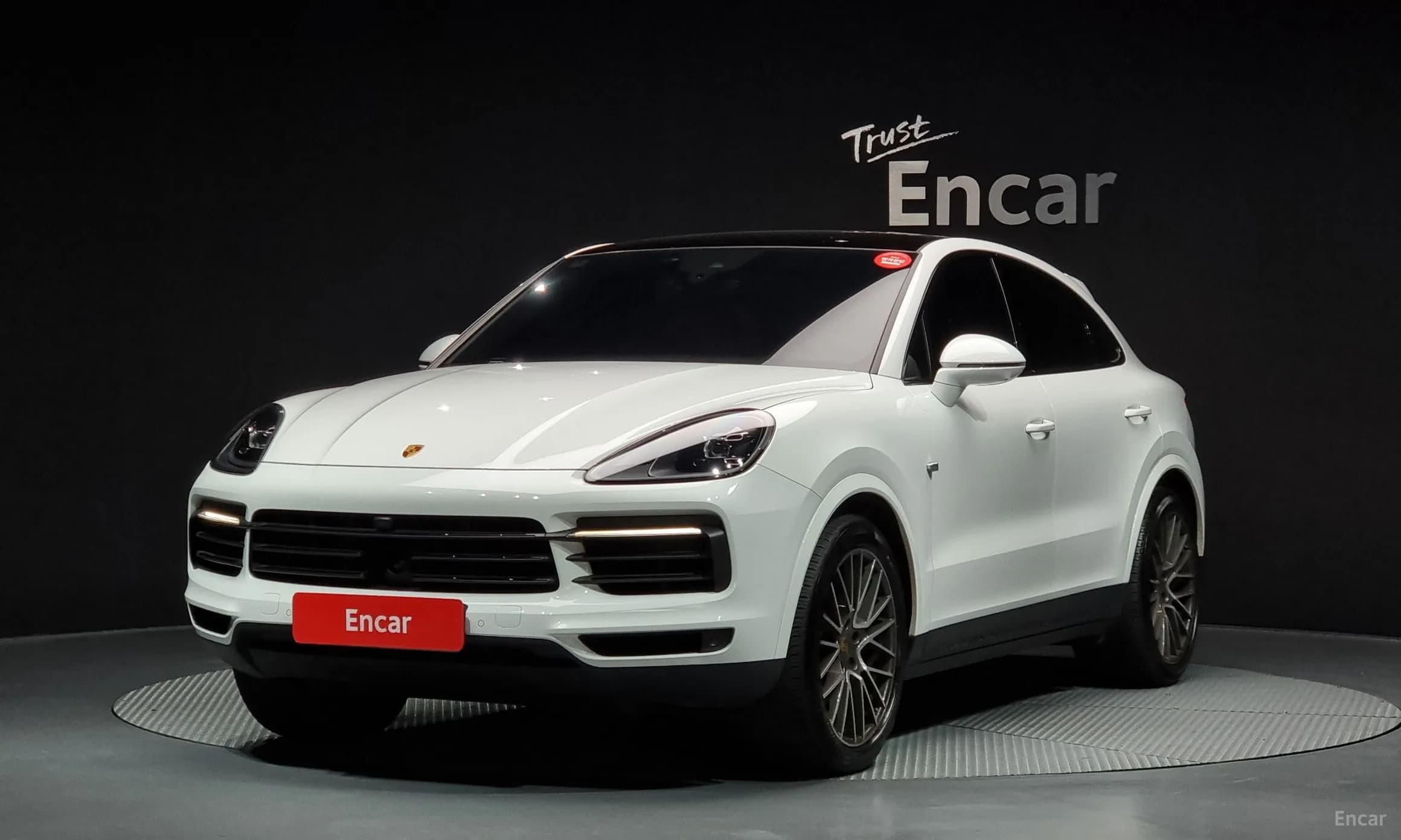 Cayenne (PO536)