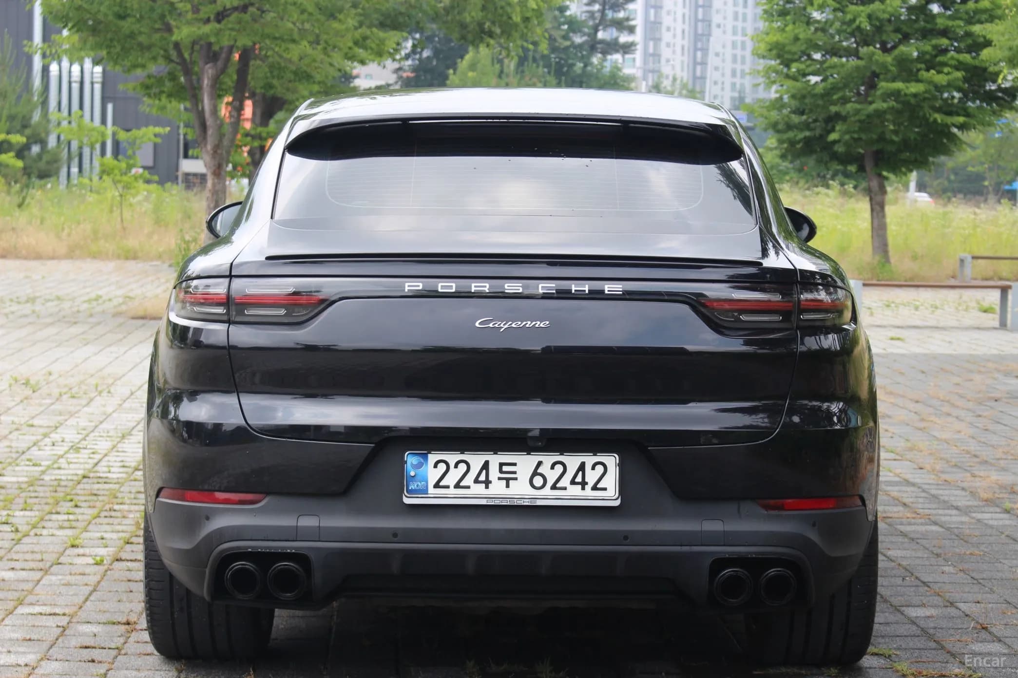 Cayenne (PO536)
