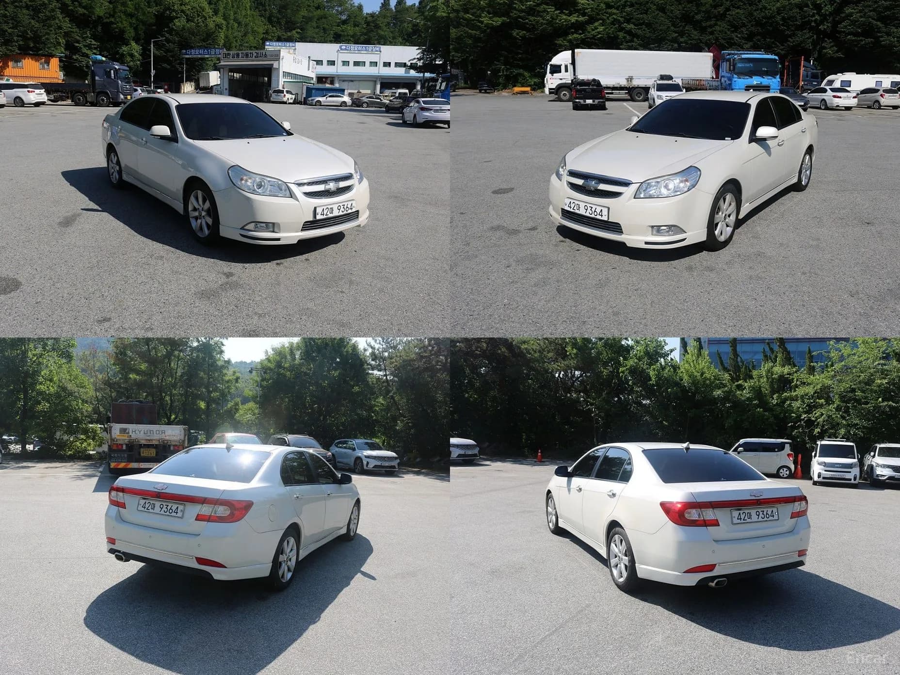 Tuscany Premium 6