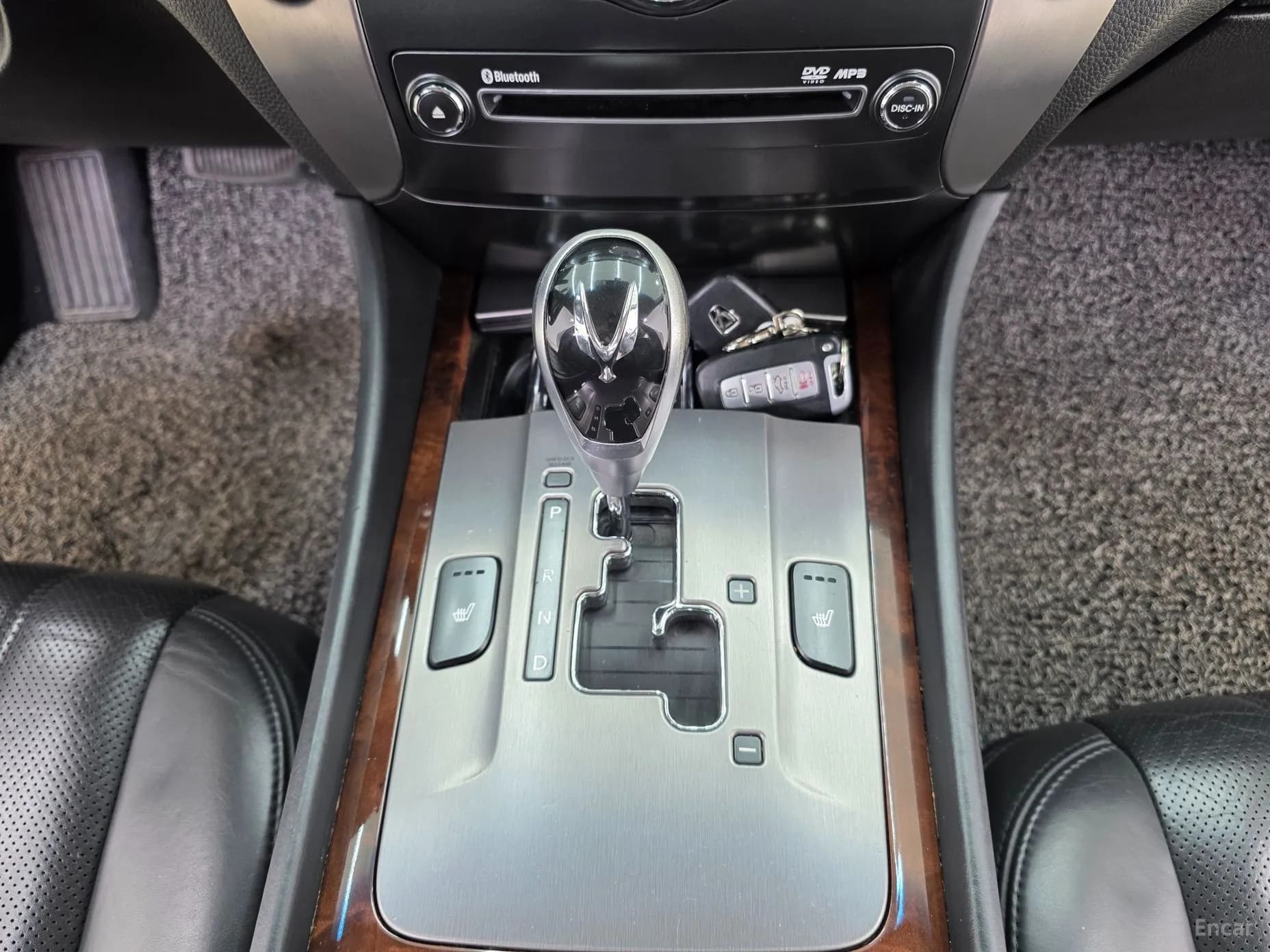 Equus (new)