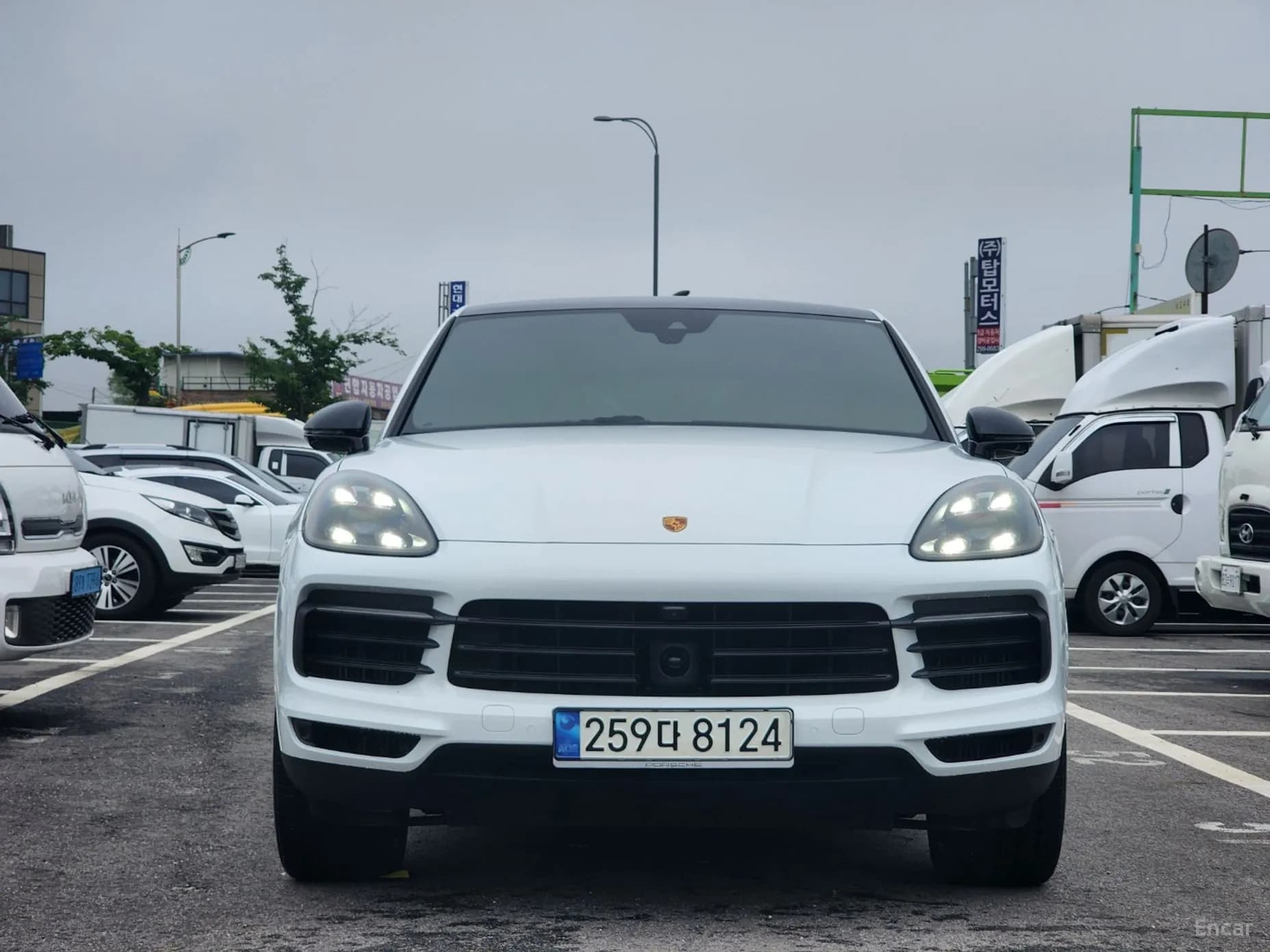 Cayenne (PO536)