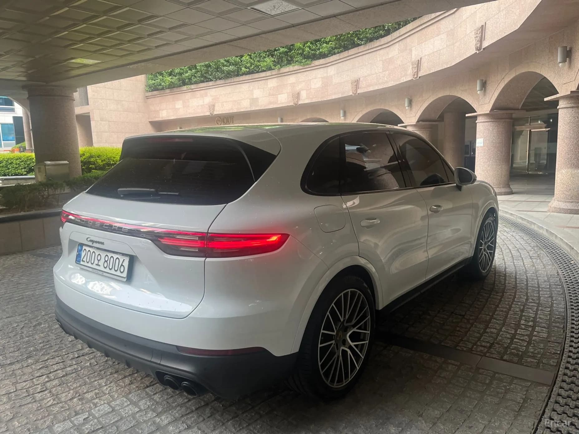 Cayenne (PO536)