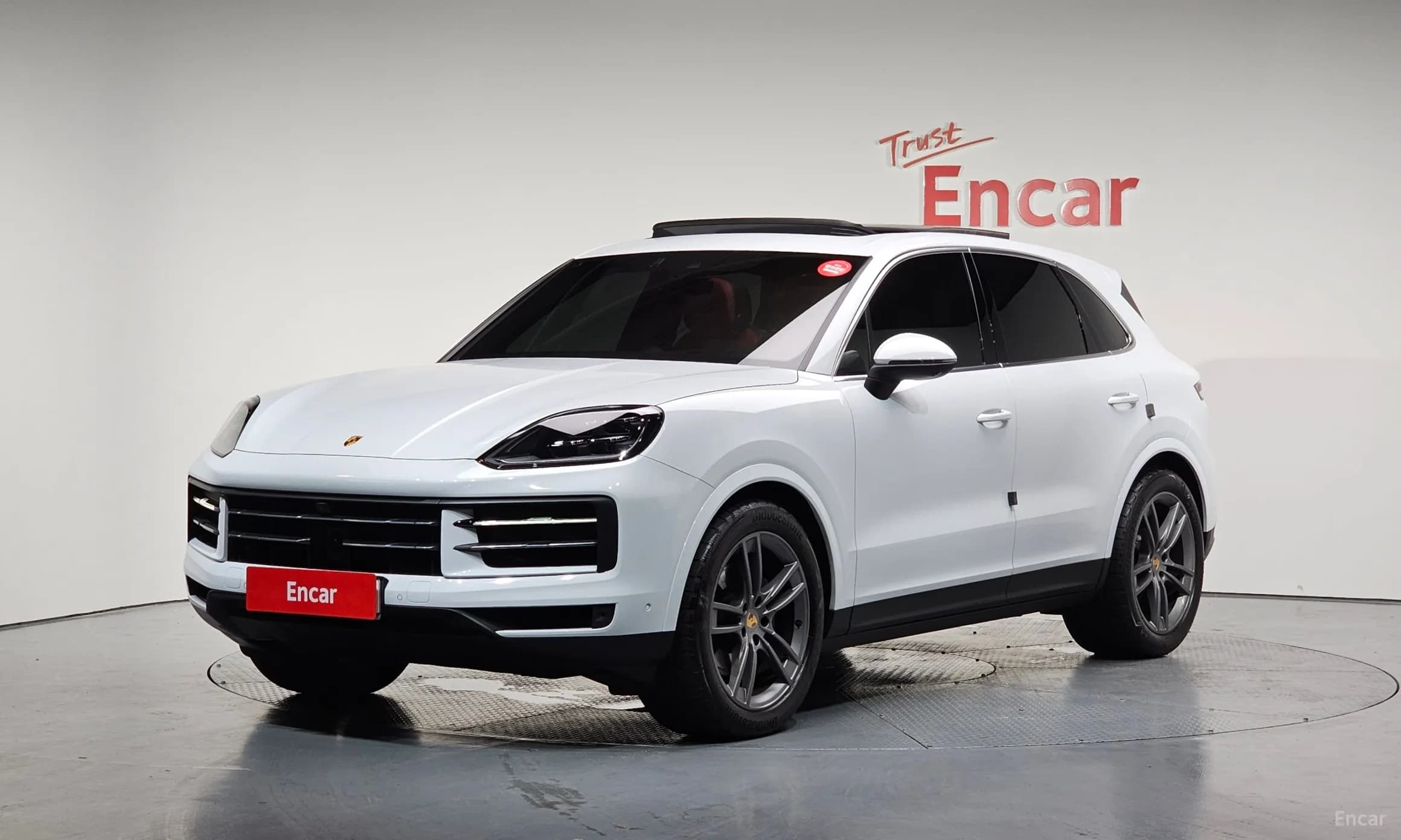 Cayenne (PO536)