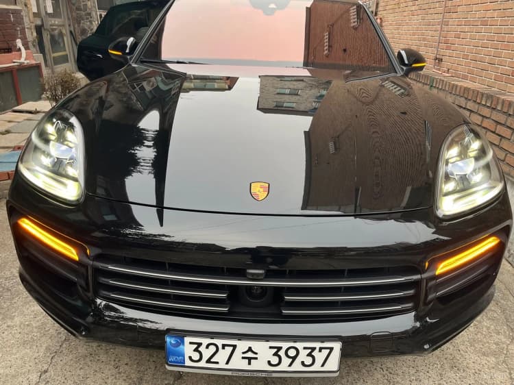 Cayenne (PO536)