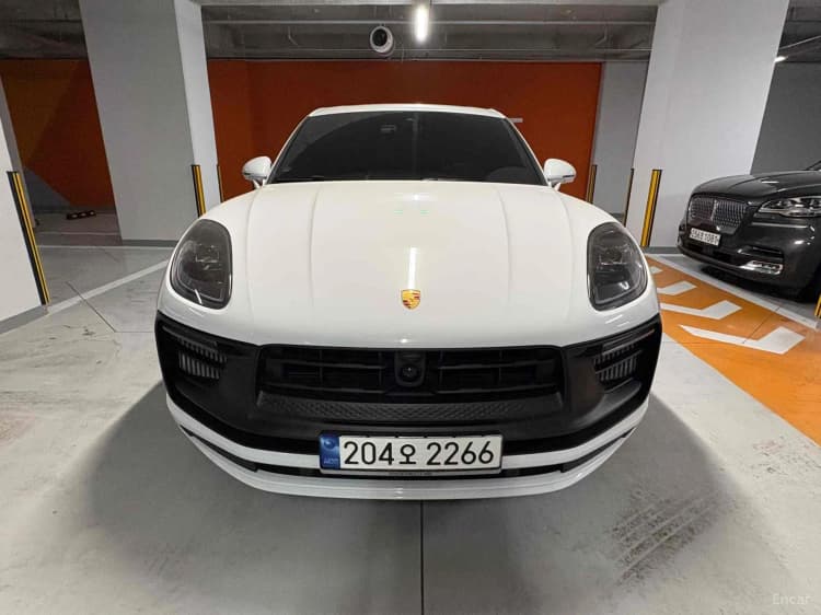 Macan