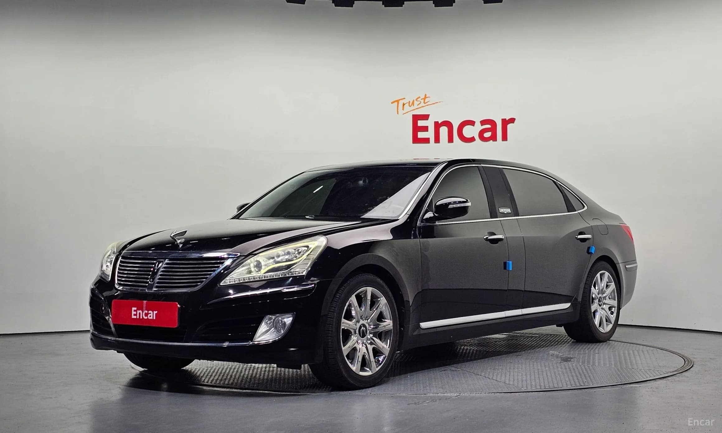 Equus (new)