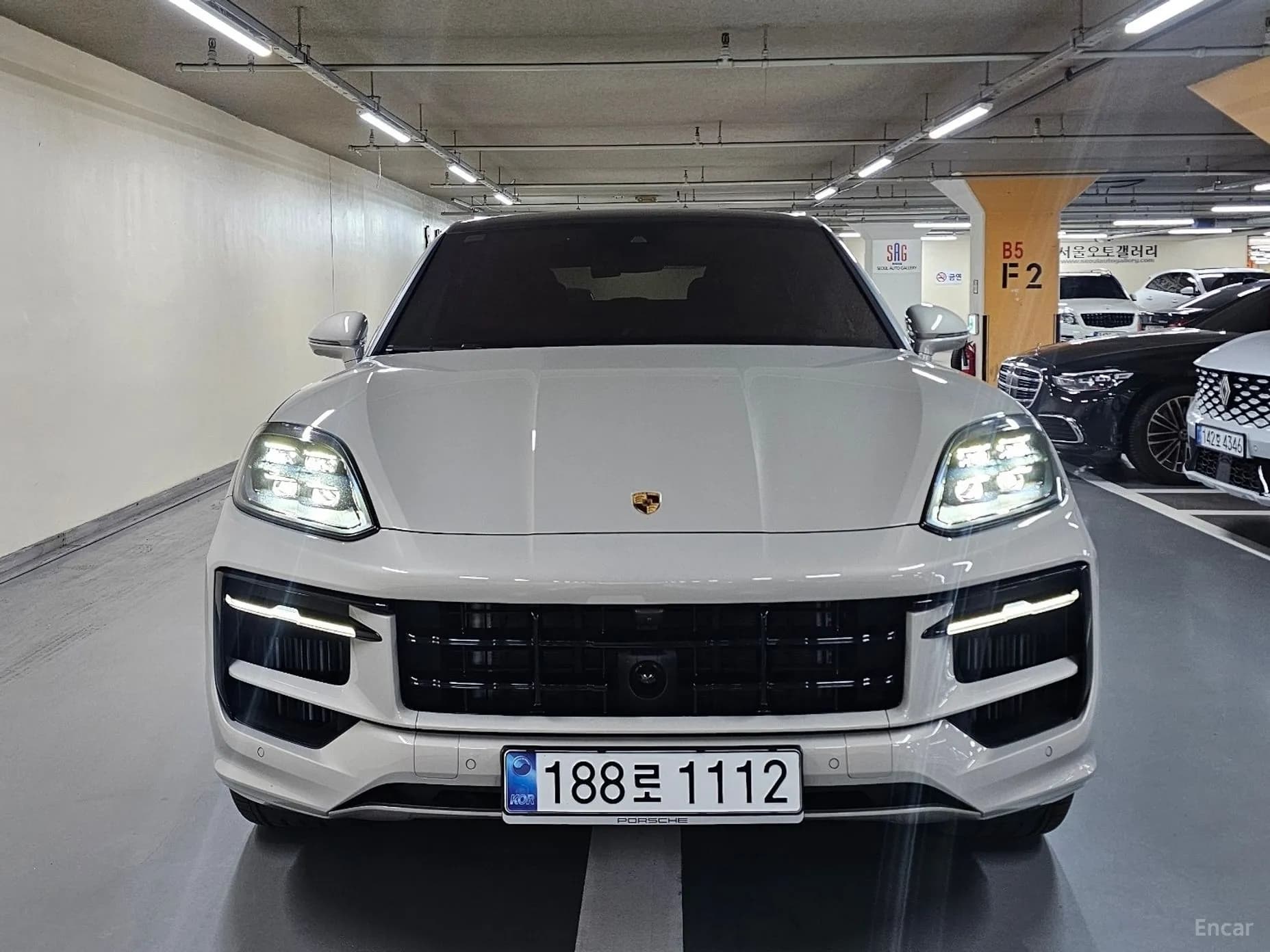 Cayenne (PO536)