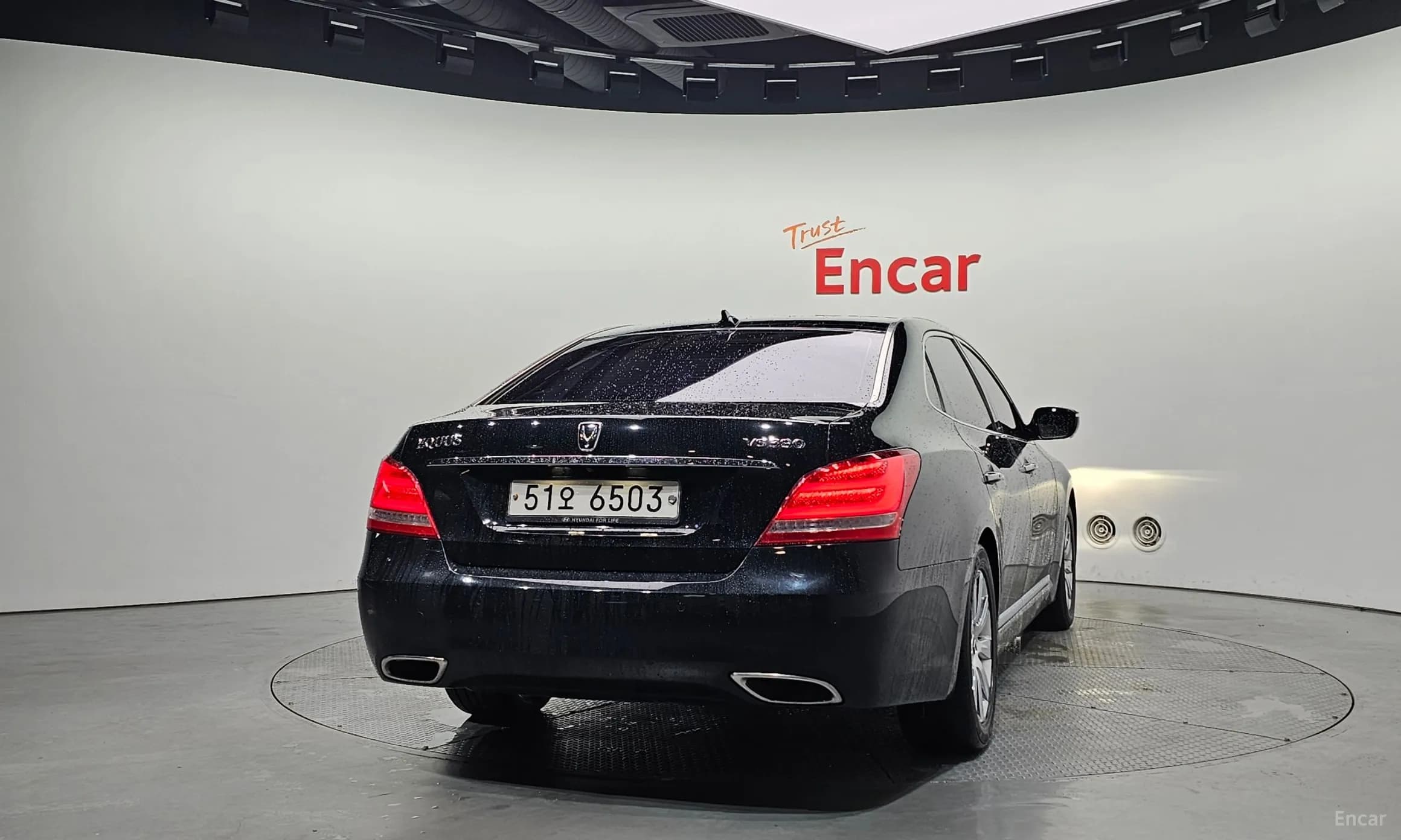 Equus (new)
