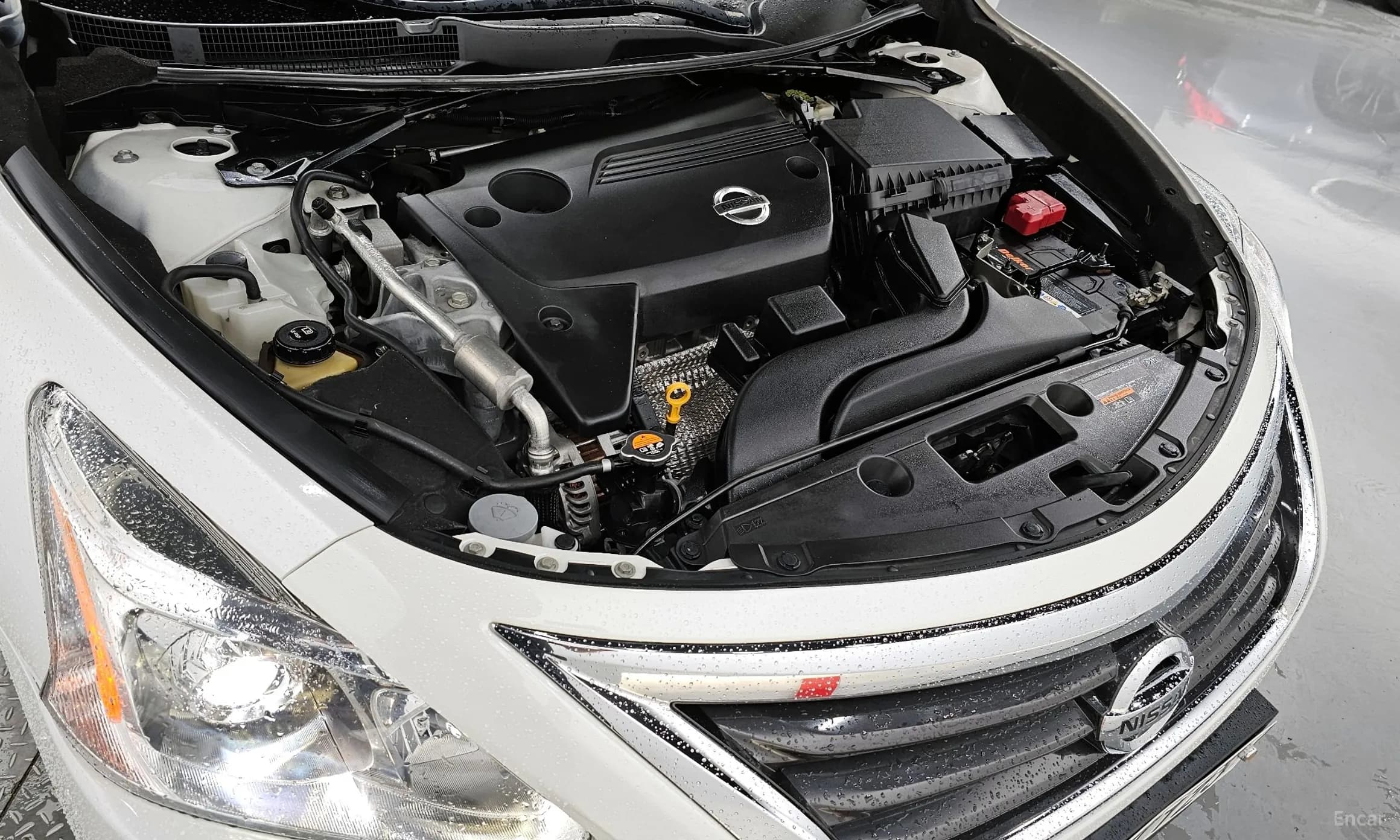 Altima