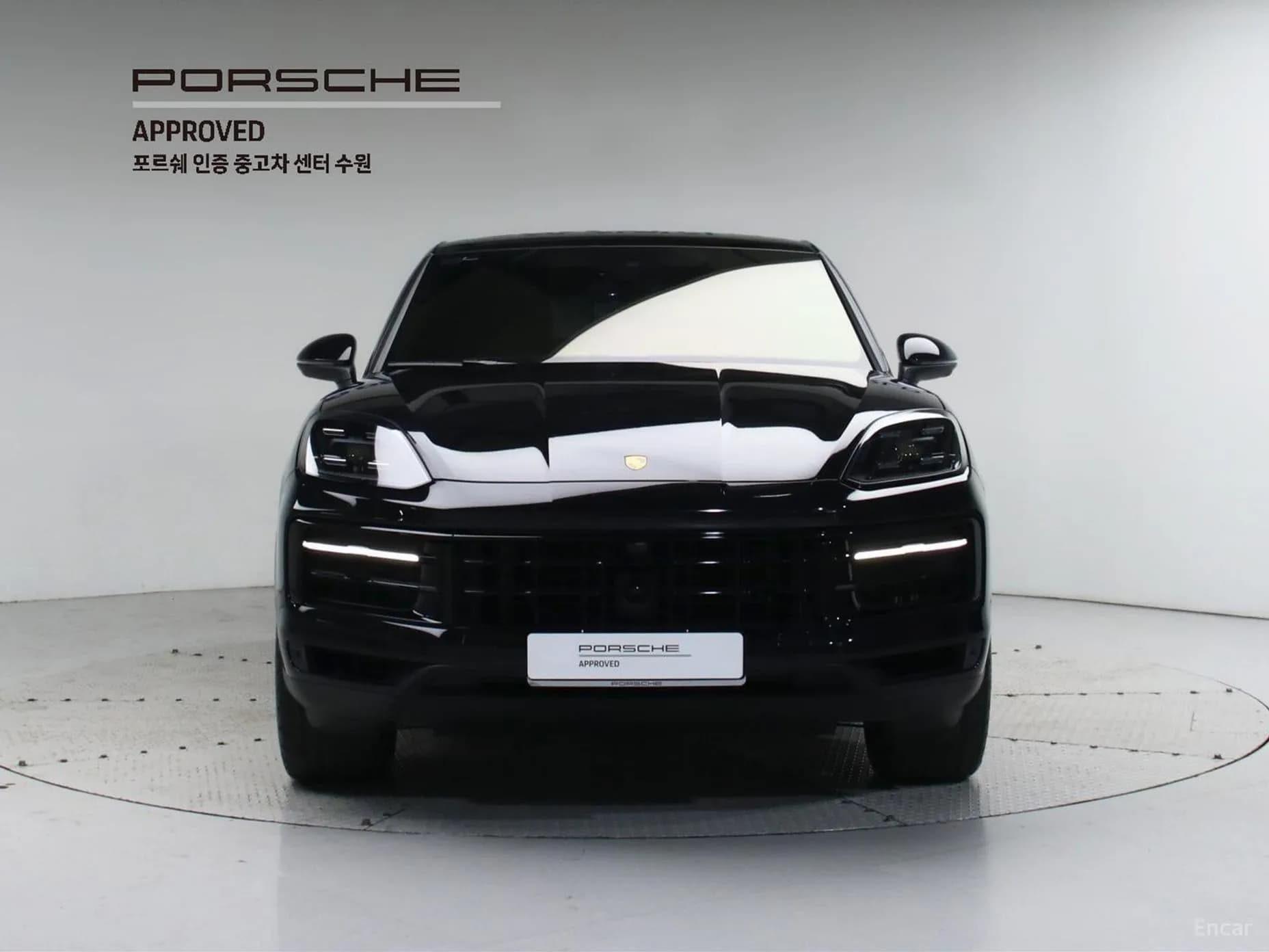 Cayenne (PO536)