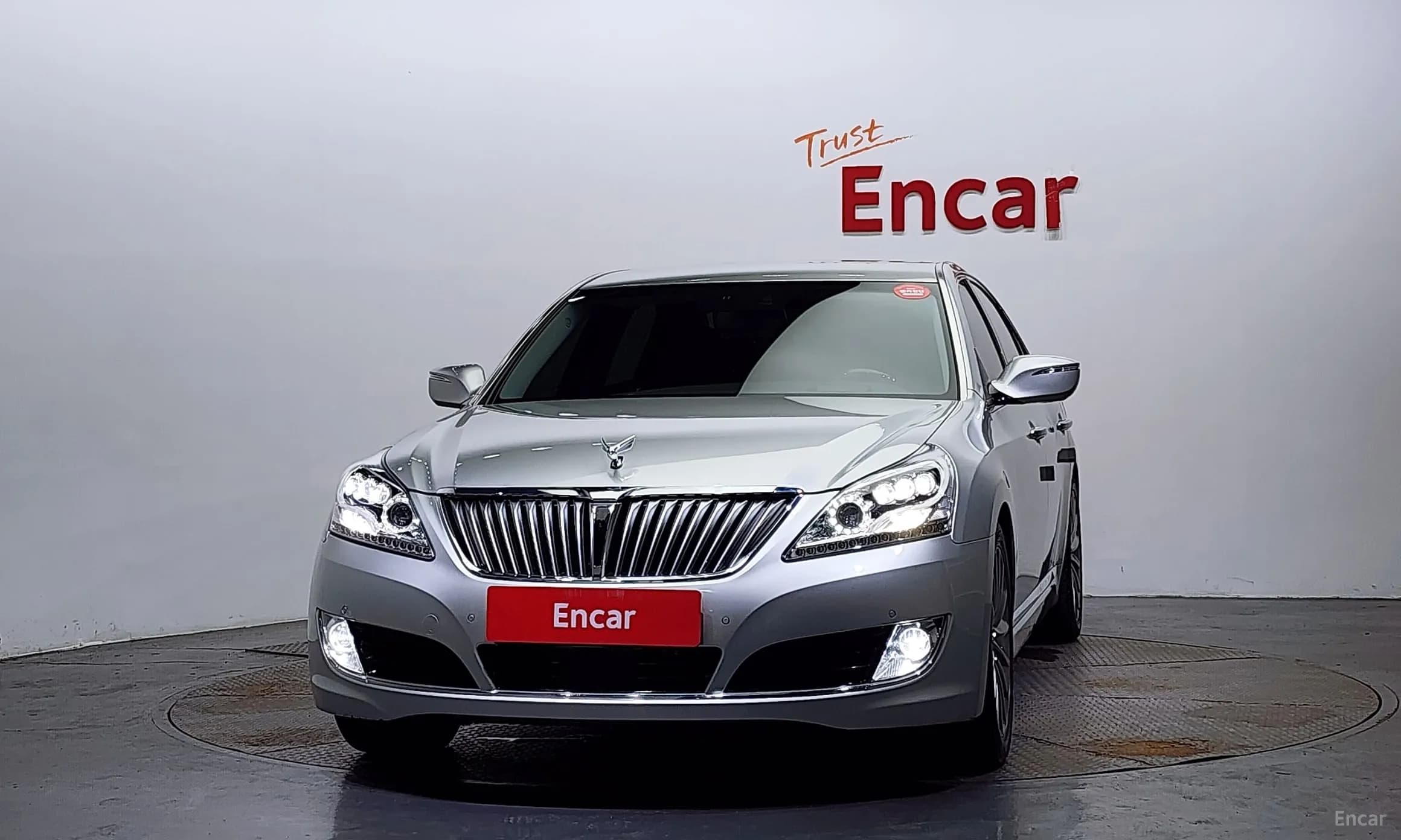 Equus (new)