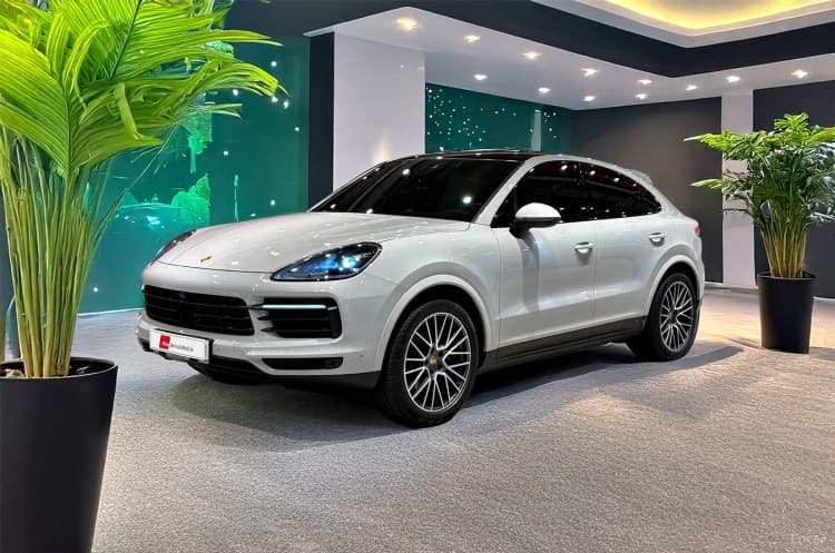 Cayenne (PO536)