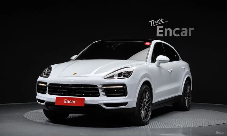 Cayenne (PO536)
