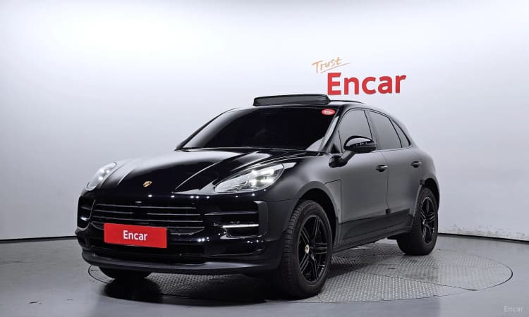 Macan