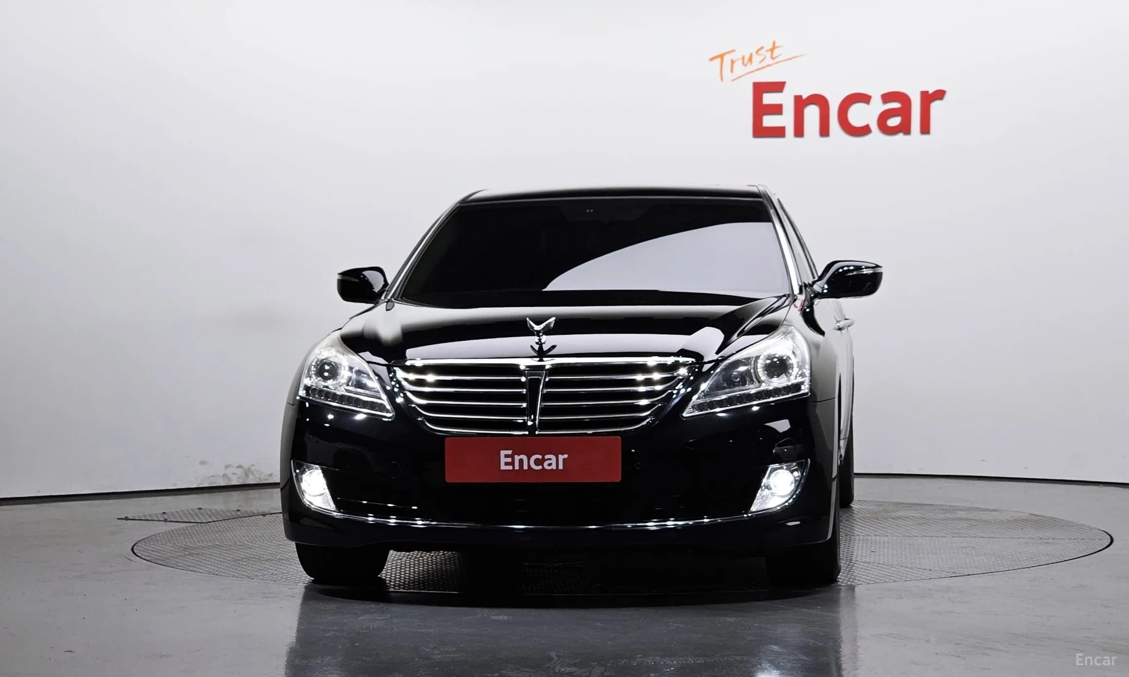 Equus (new)