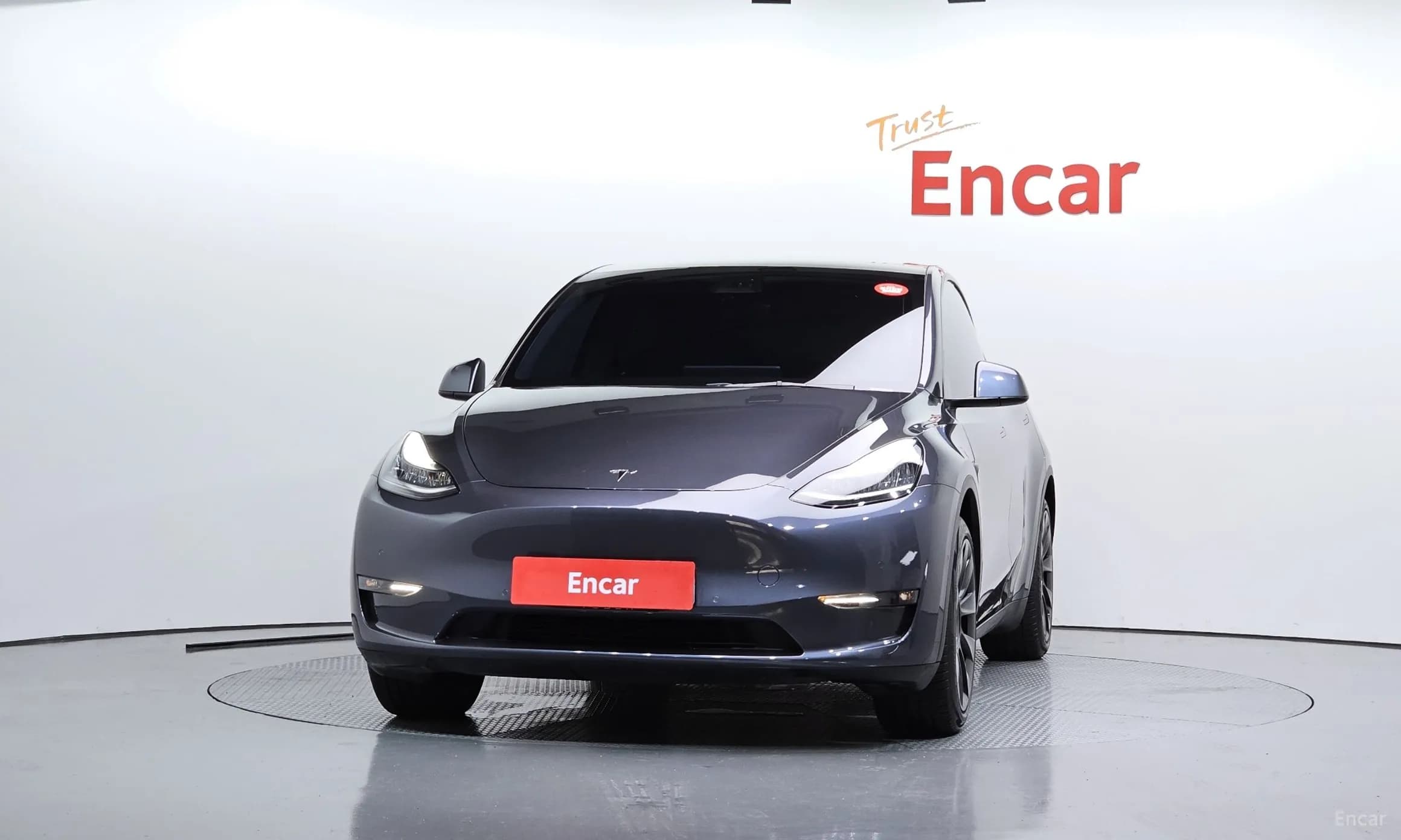 Model Y