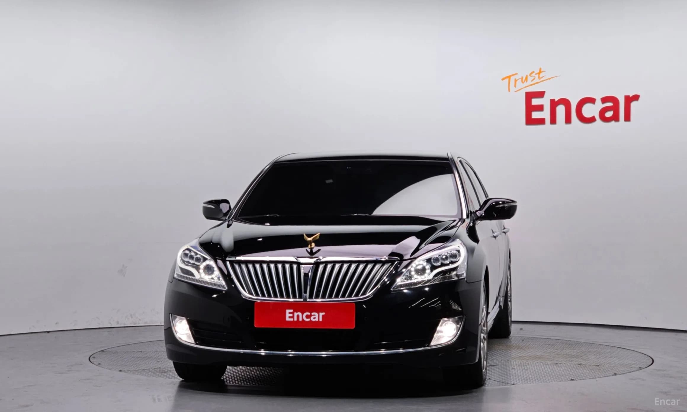Equus (new)