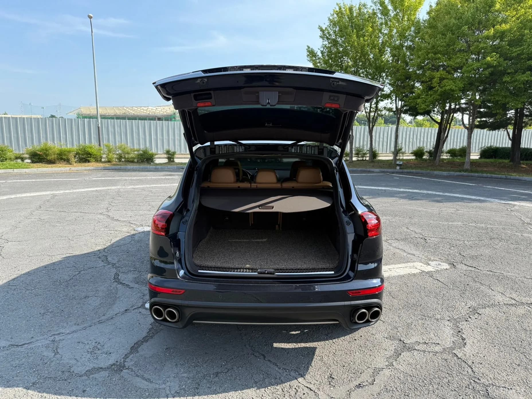New Cayenne