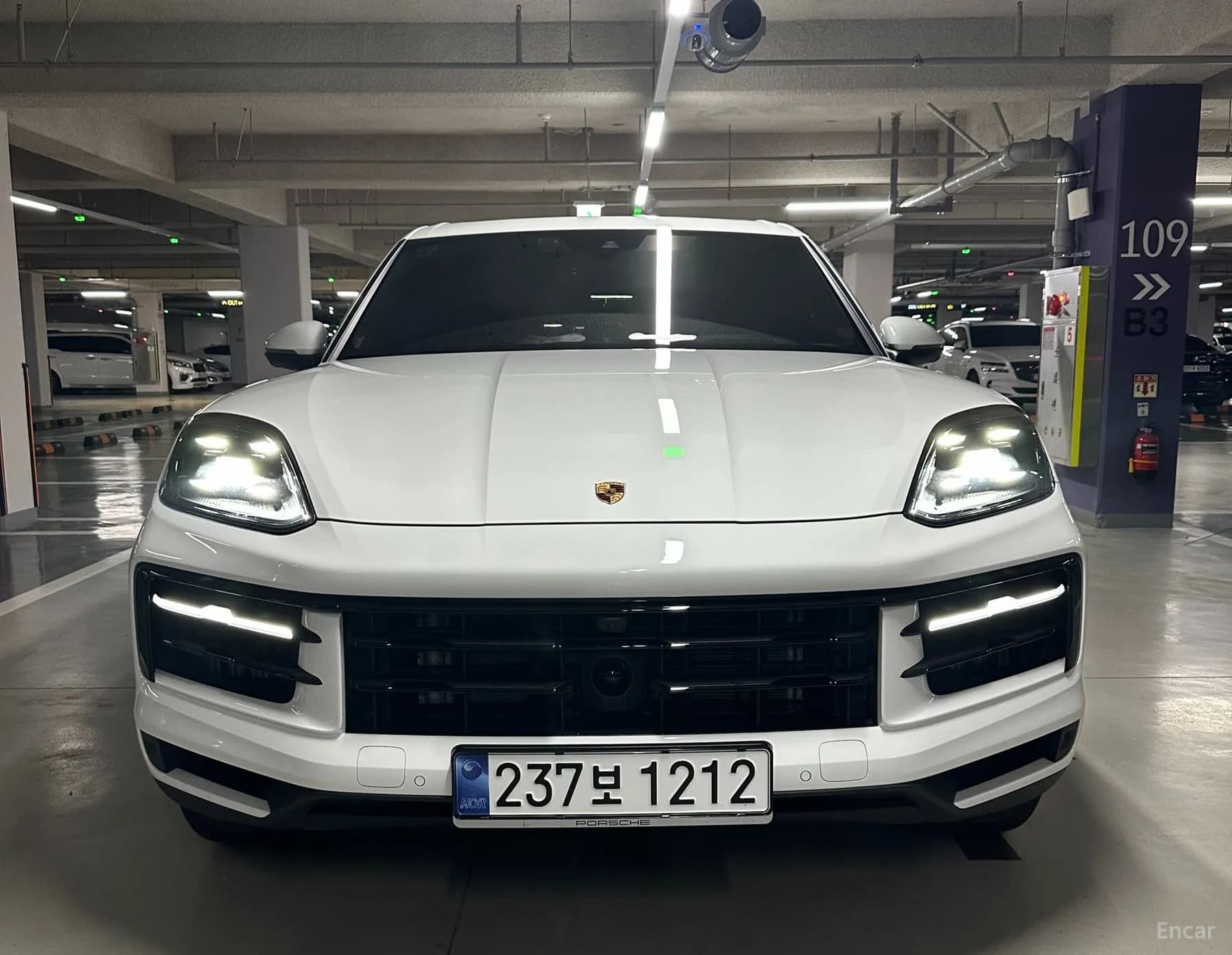 Cayenne (PO536)
