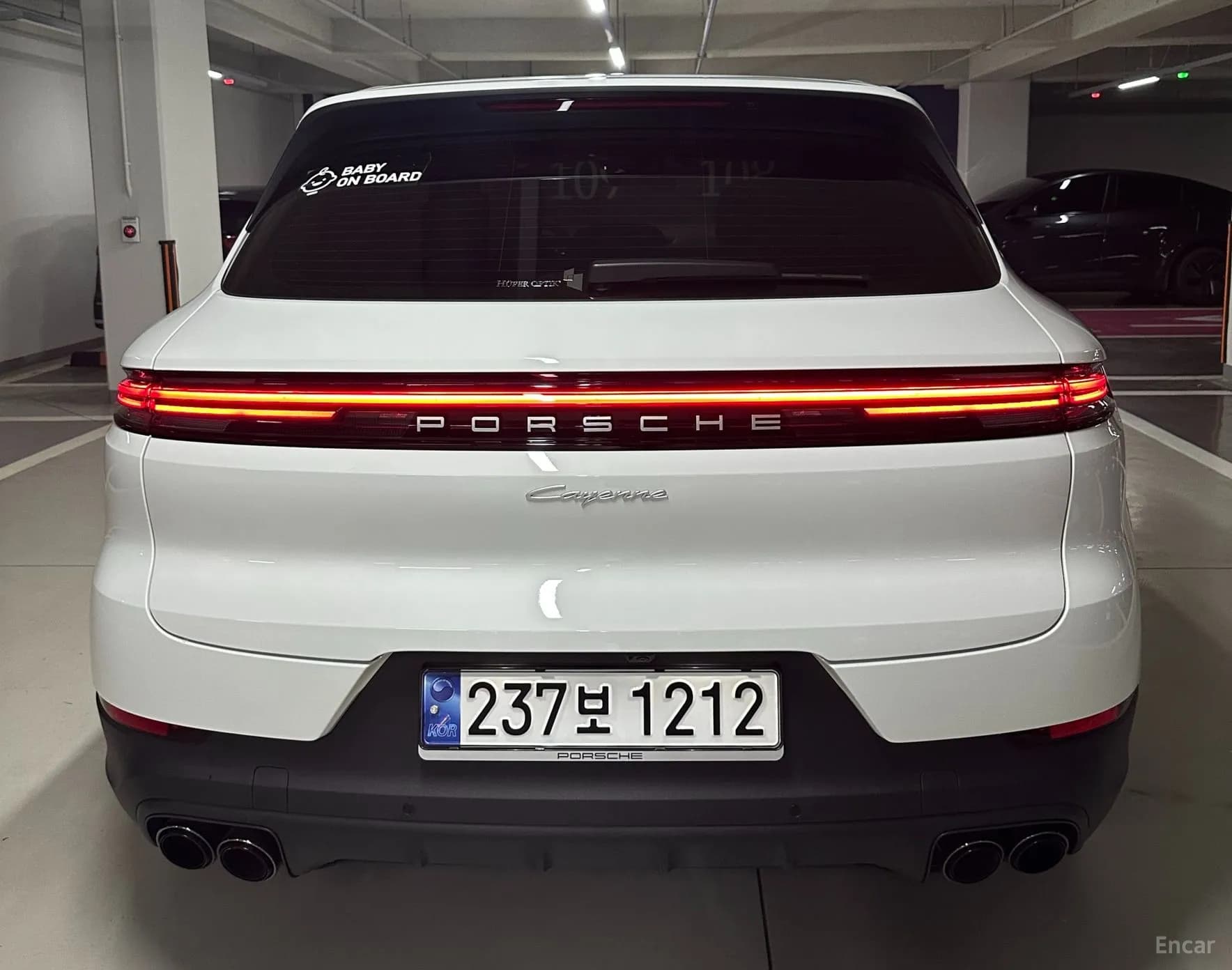 Cayenne (PO536)