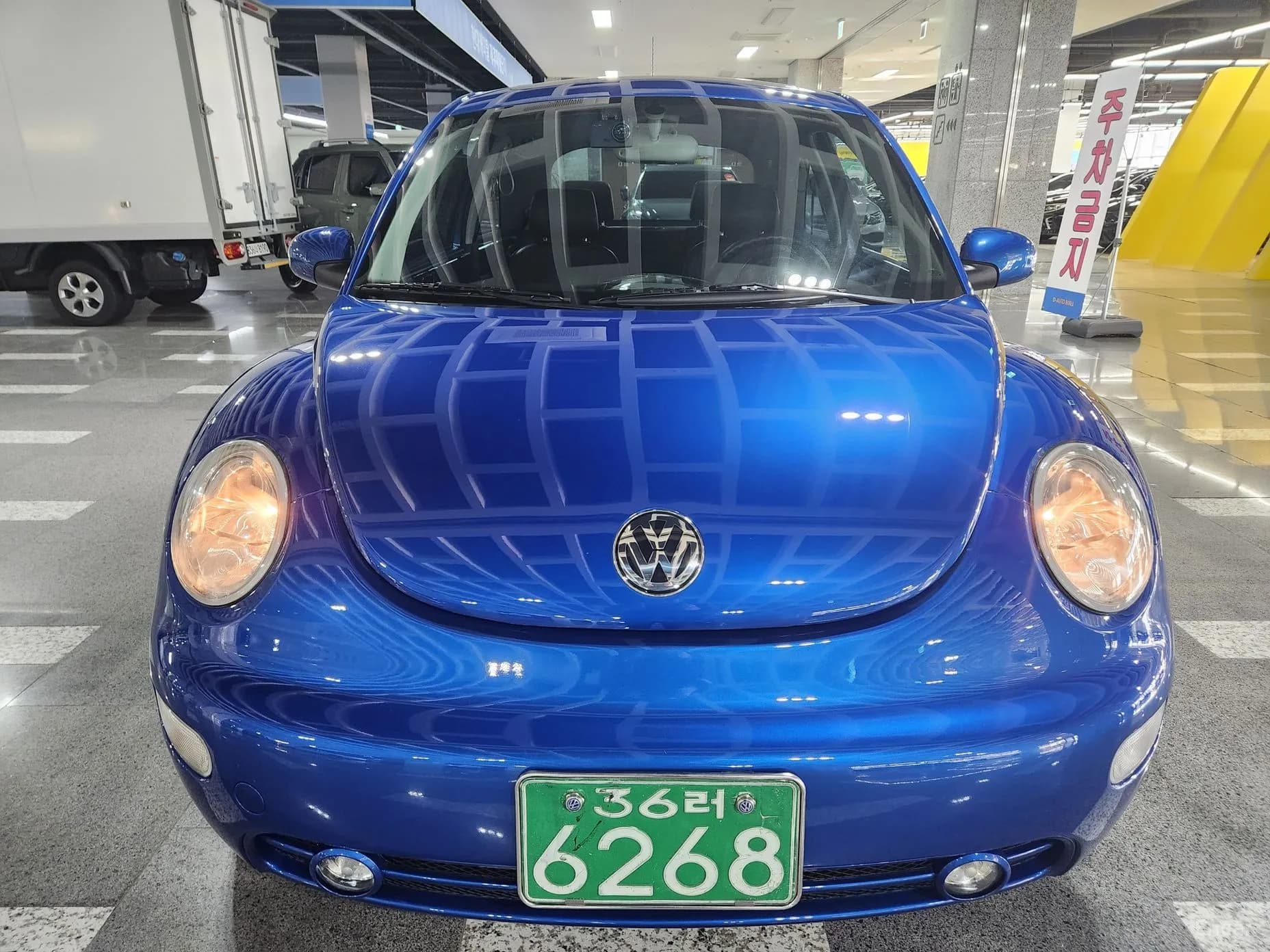 New Beetle
