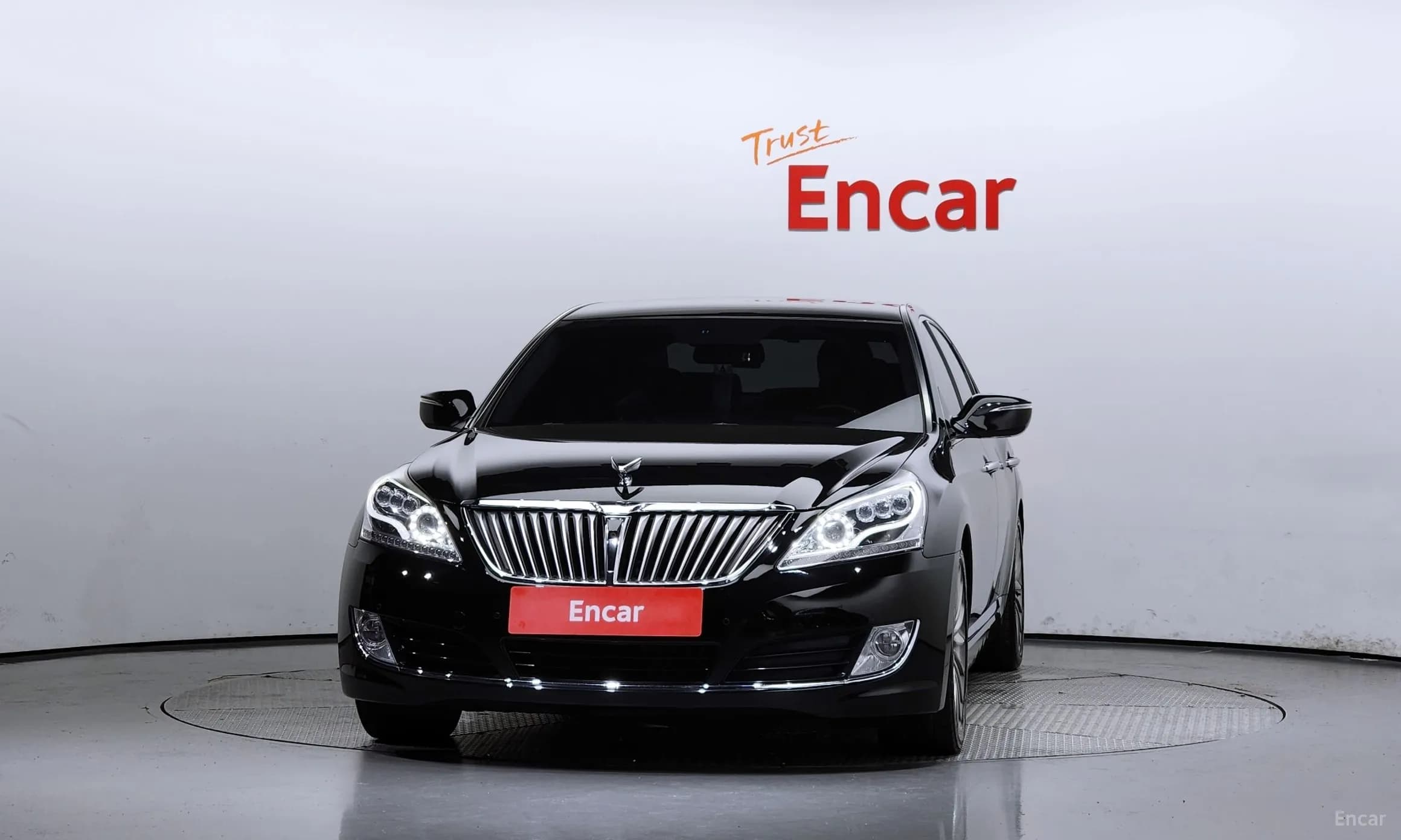 Equus (new)