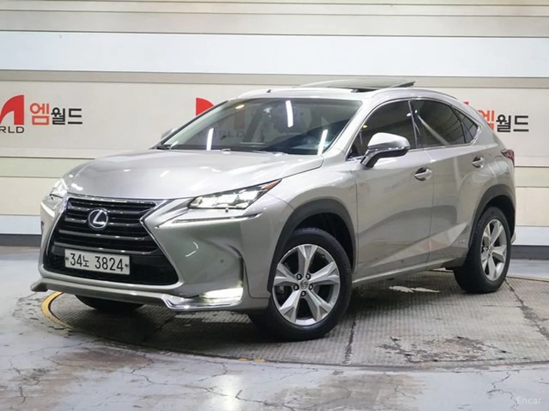 NX300h