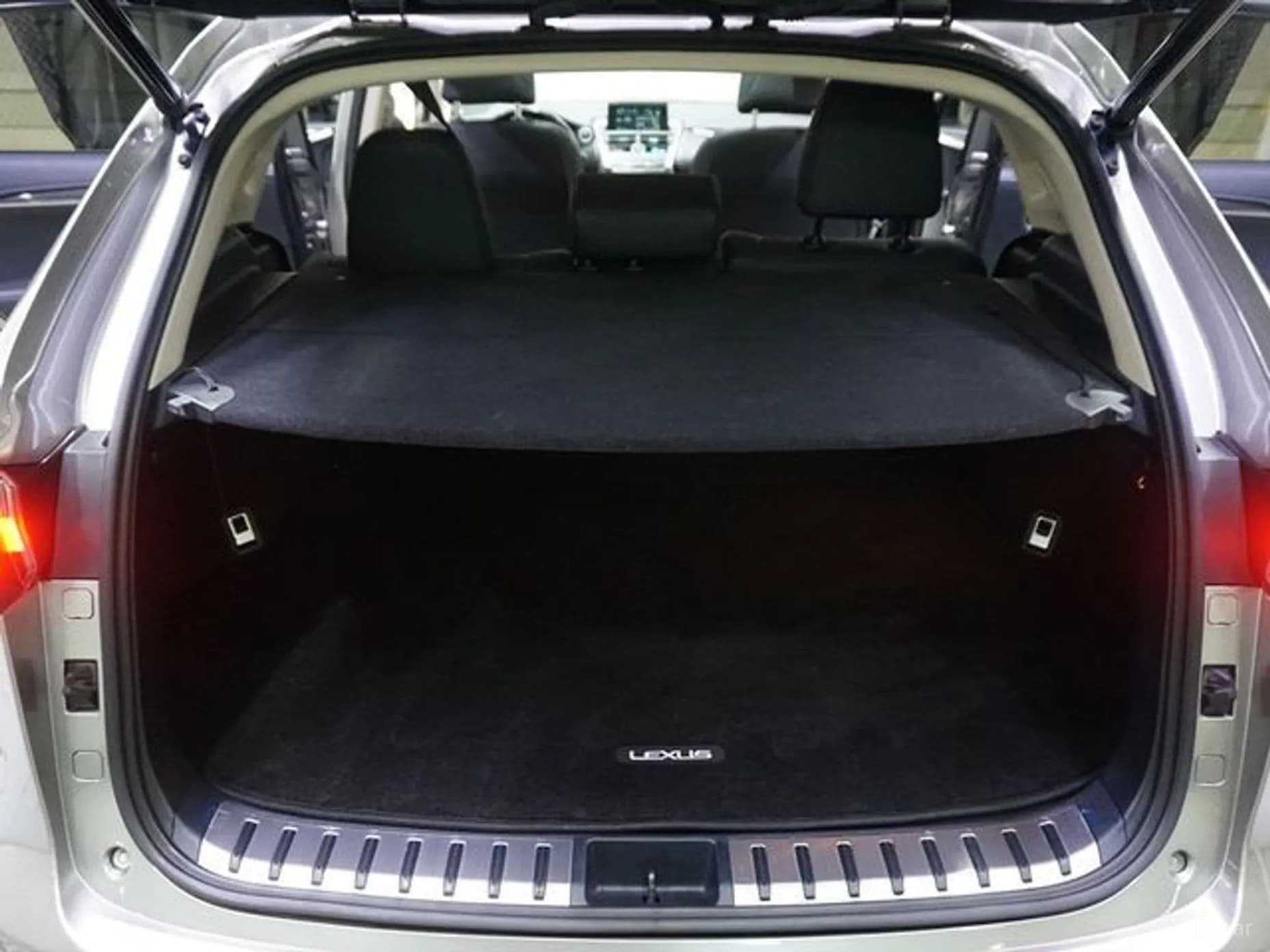 NX300h