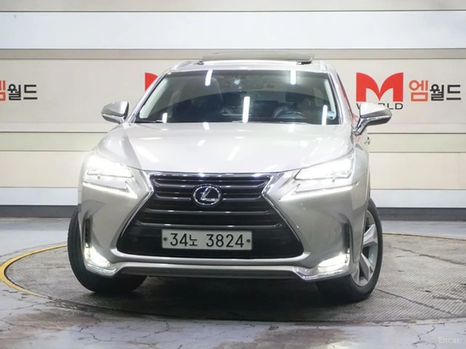NX300h